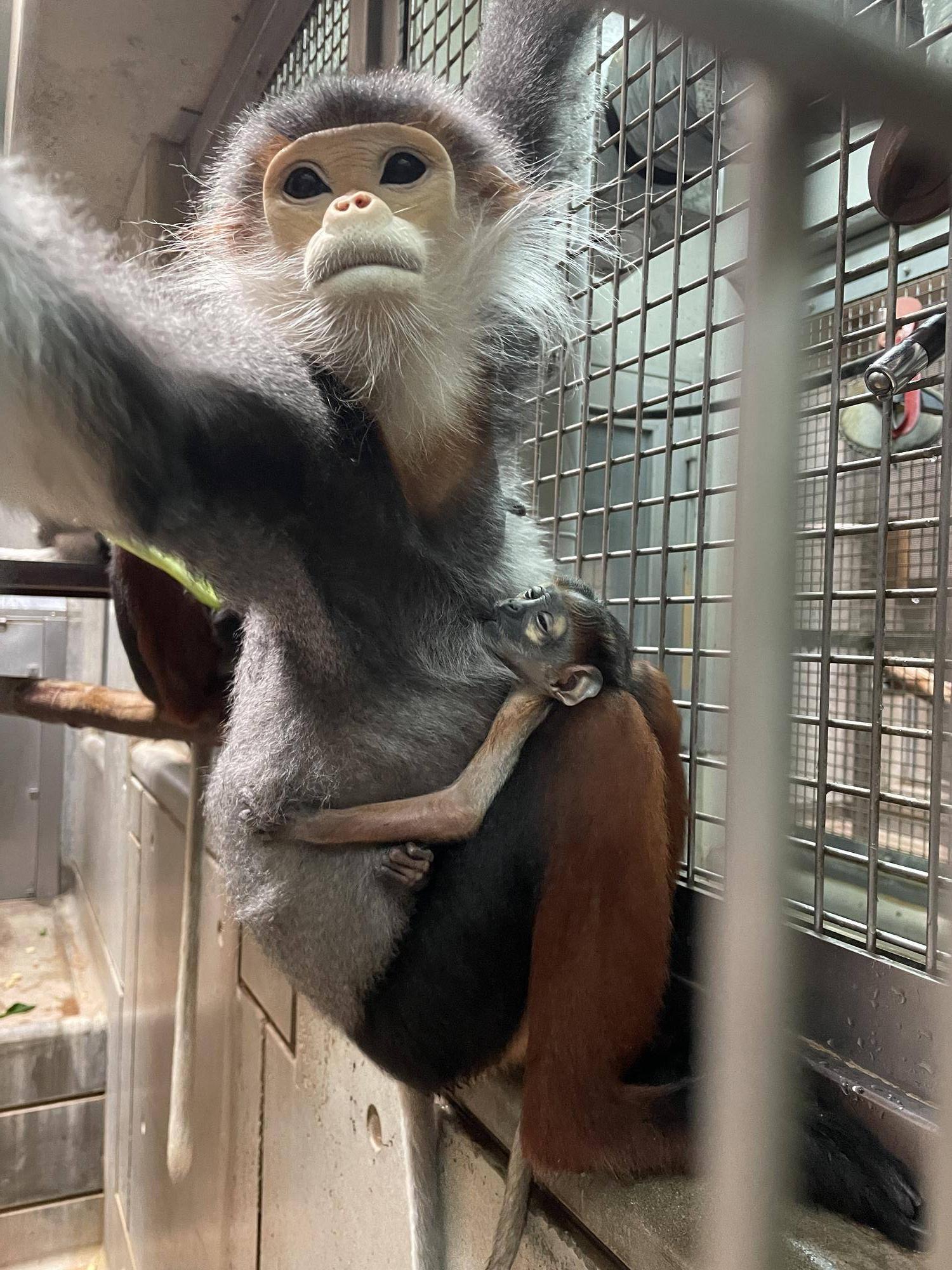 【飼育日誌】20240203：生まれました！！ (3).jpg