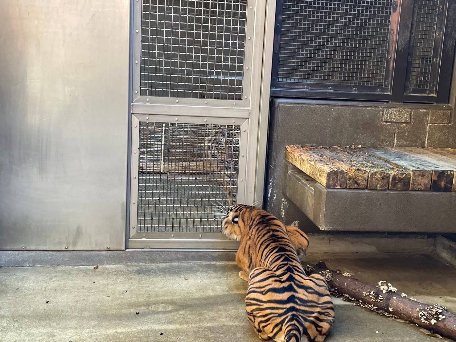 お見合い⑦ .jpg