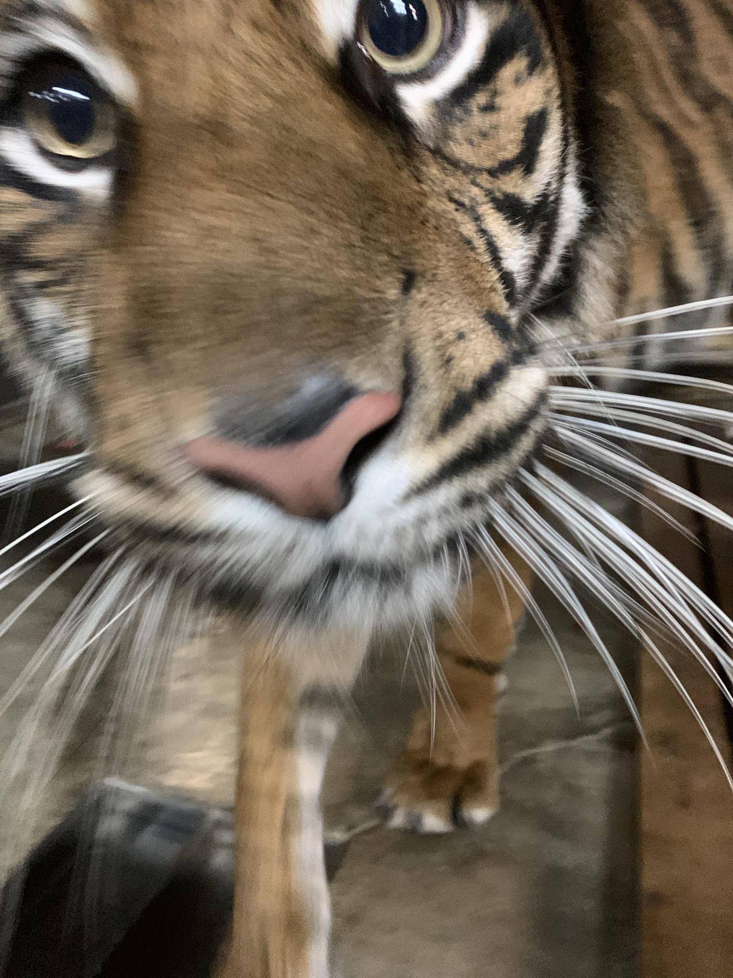 お見合い⑨ .jpg