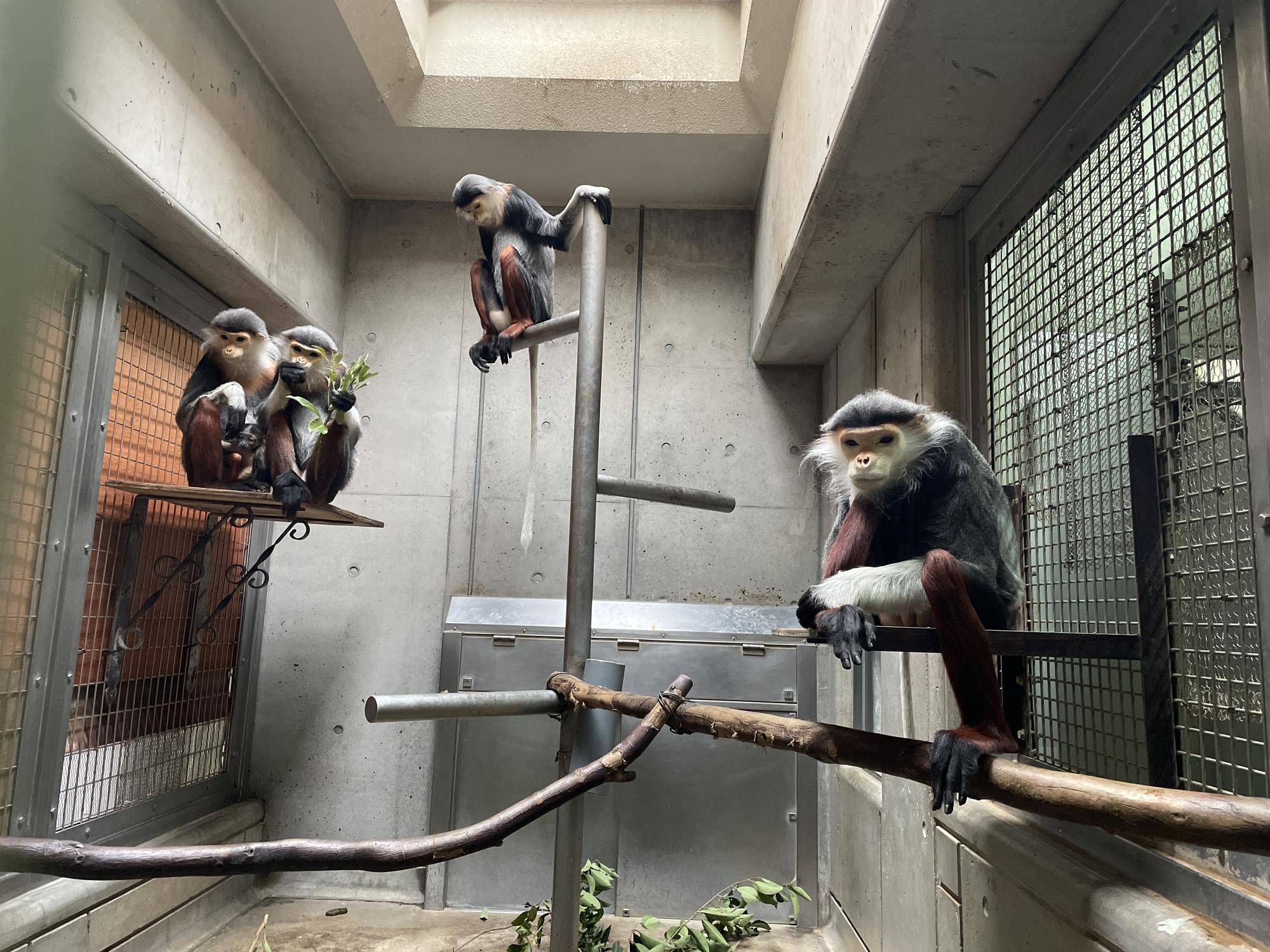 【飼育日誌】20240203：生まれました！！ (8).jpg