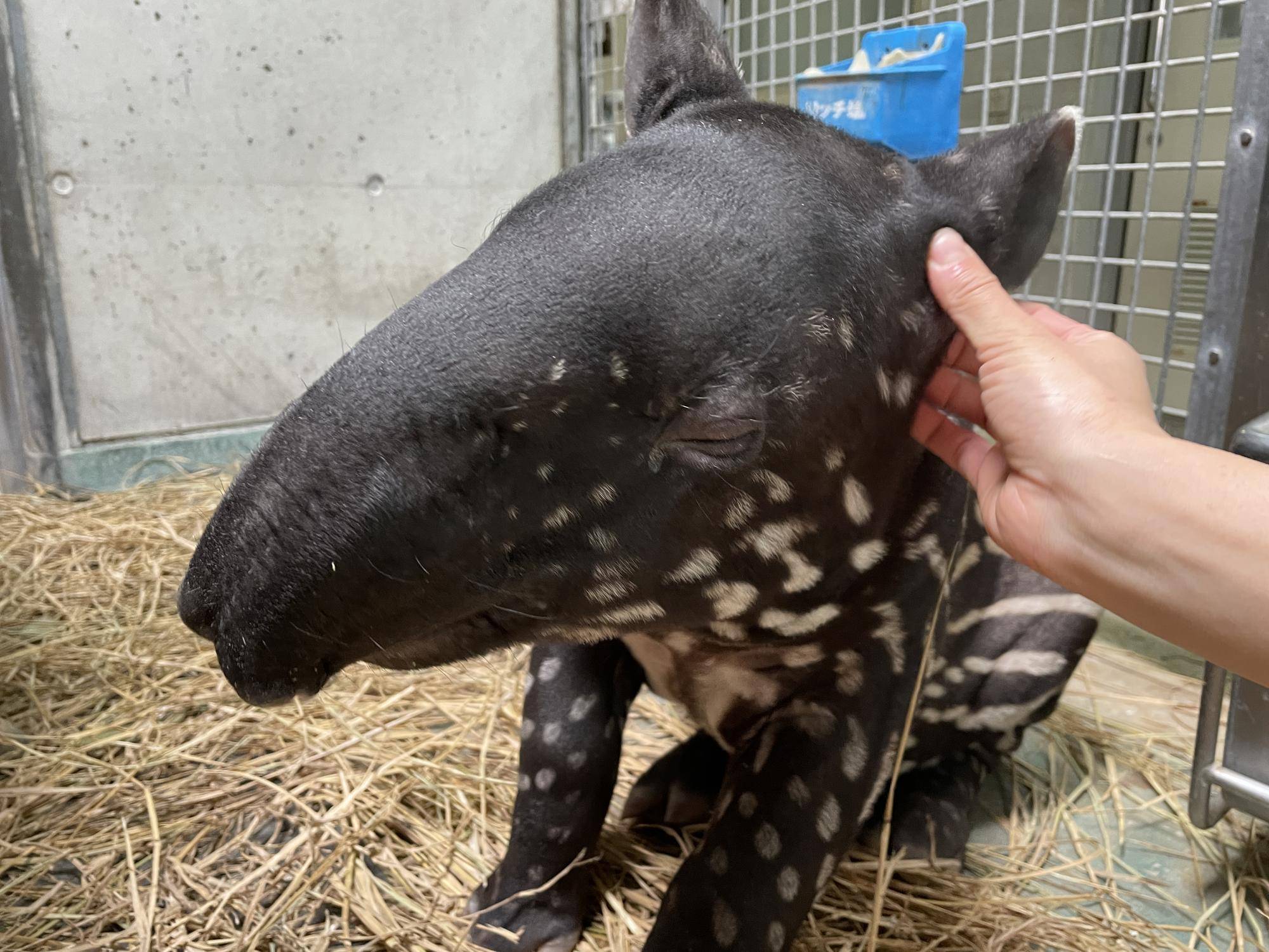 18 気持ちいい.jpg