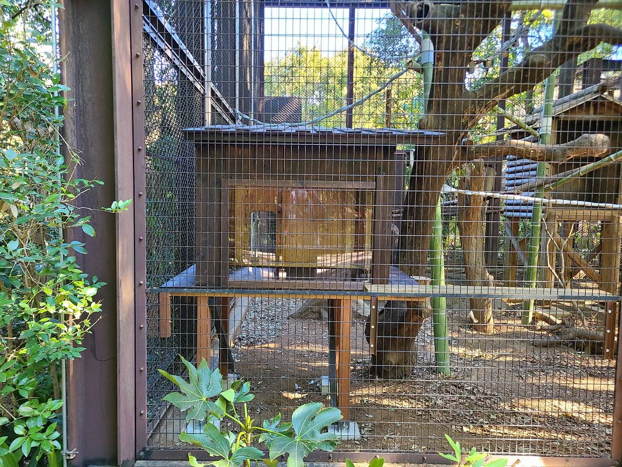 シシオ小屋②.jpg