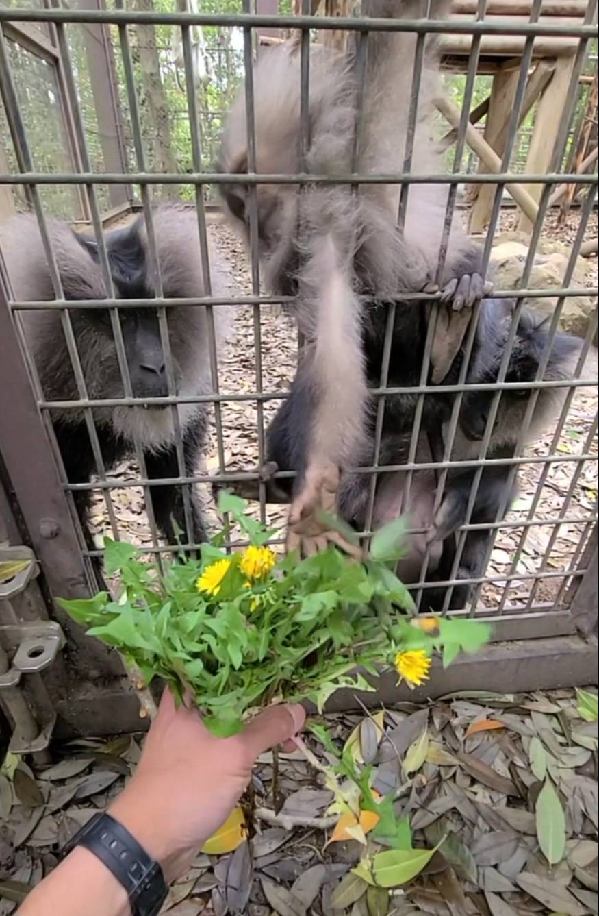 Screenshot_20240504_191443_Video Editor.jpg