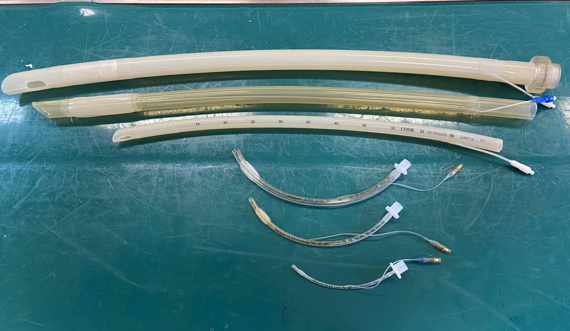 気管チューブ.jpg