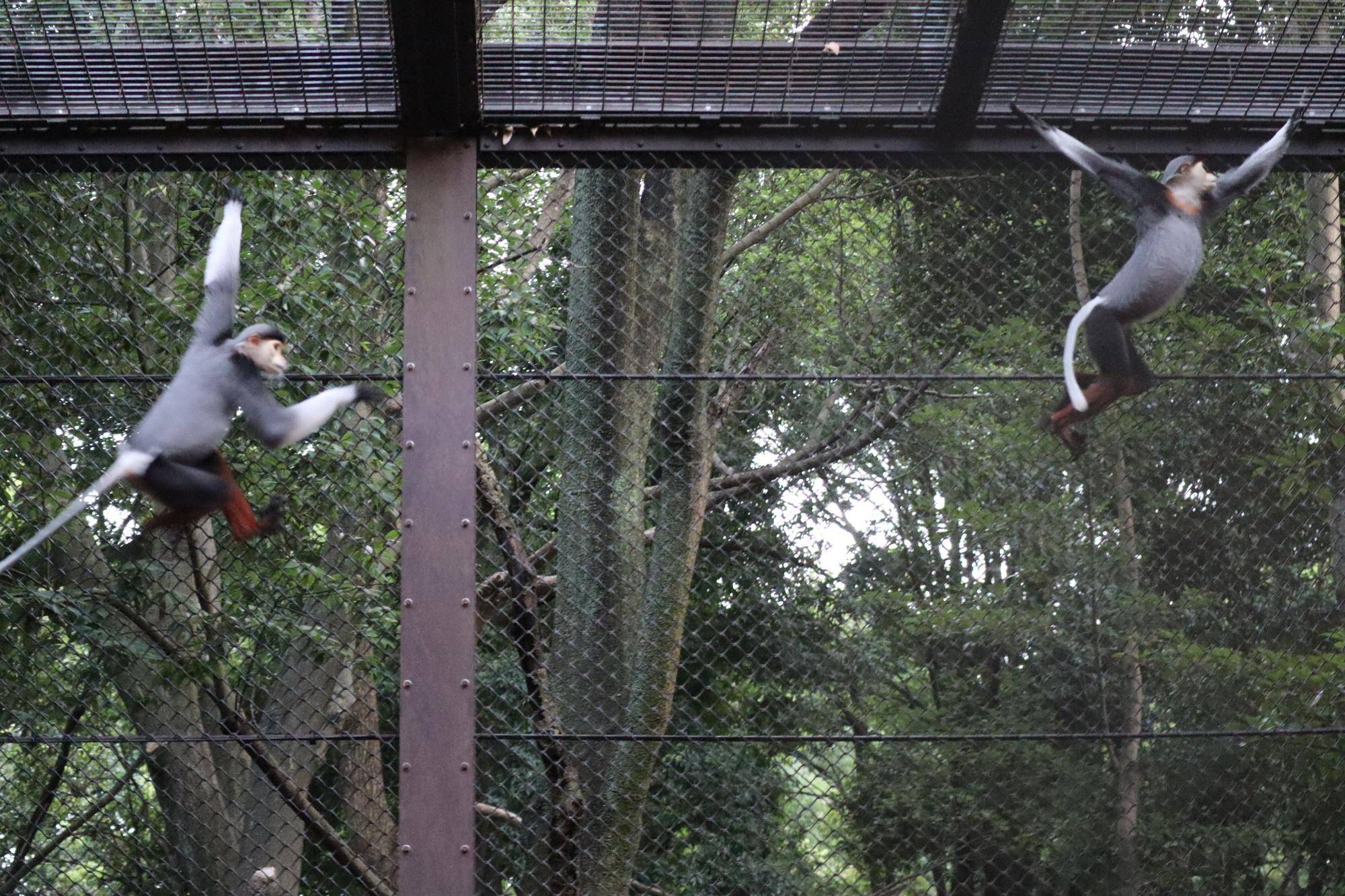 【飼育日誌】20240831：モイホアその後 (2).jpg