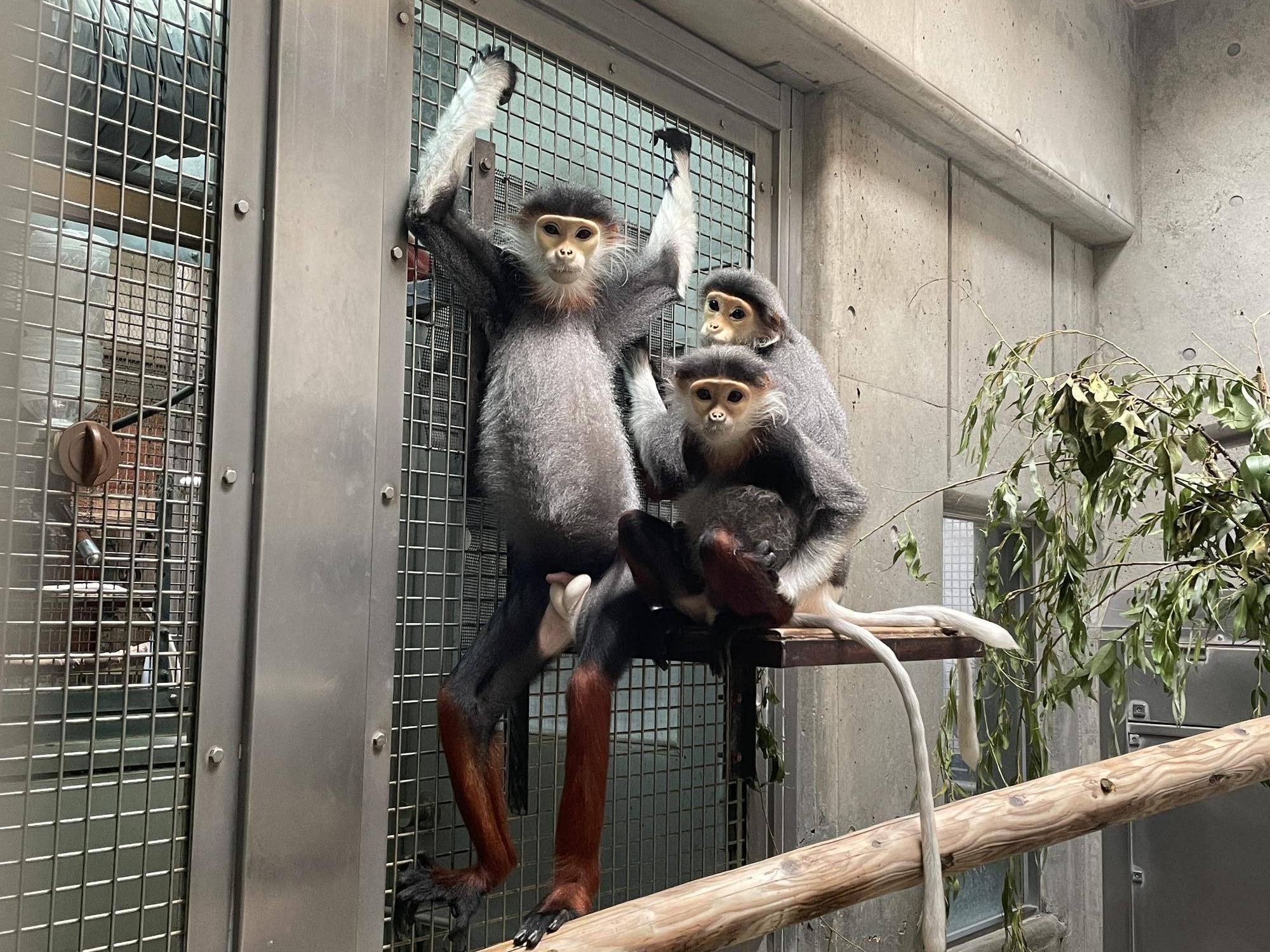 【飼育日誌】20240829：モイホア進展 (6).jpg