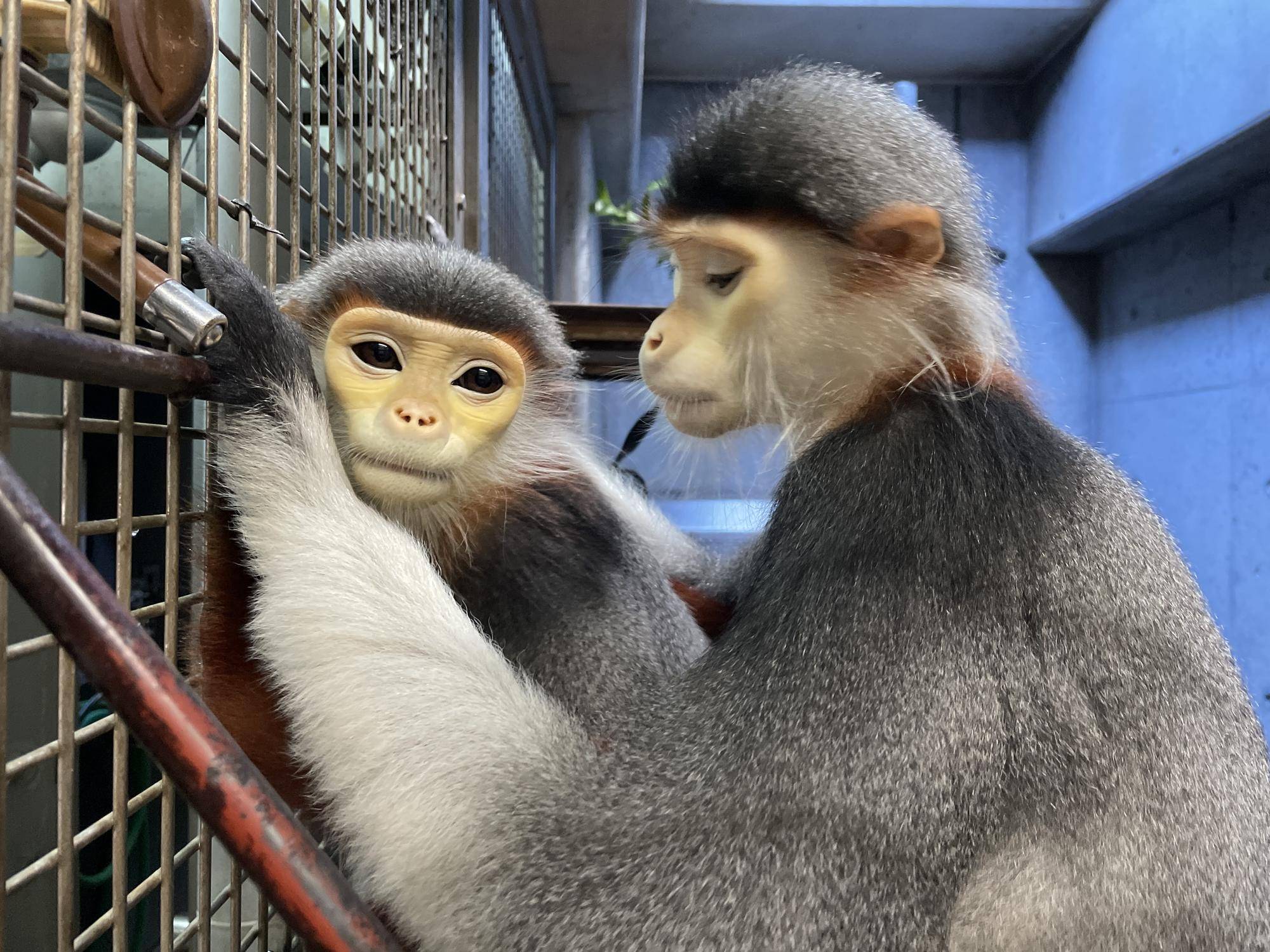 【飼育日誌】20240831：モイホアその後 (9).jpg