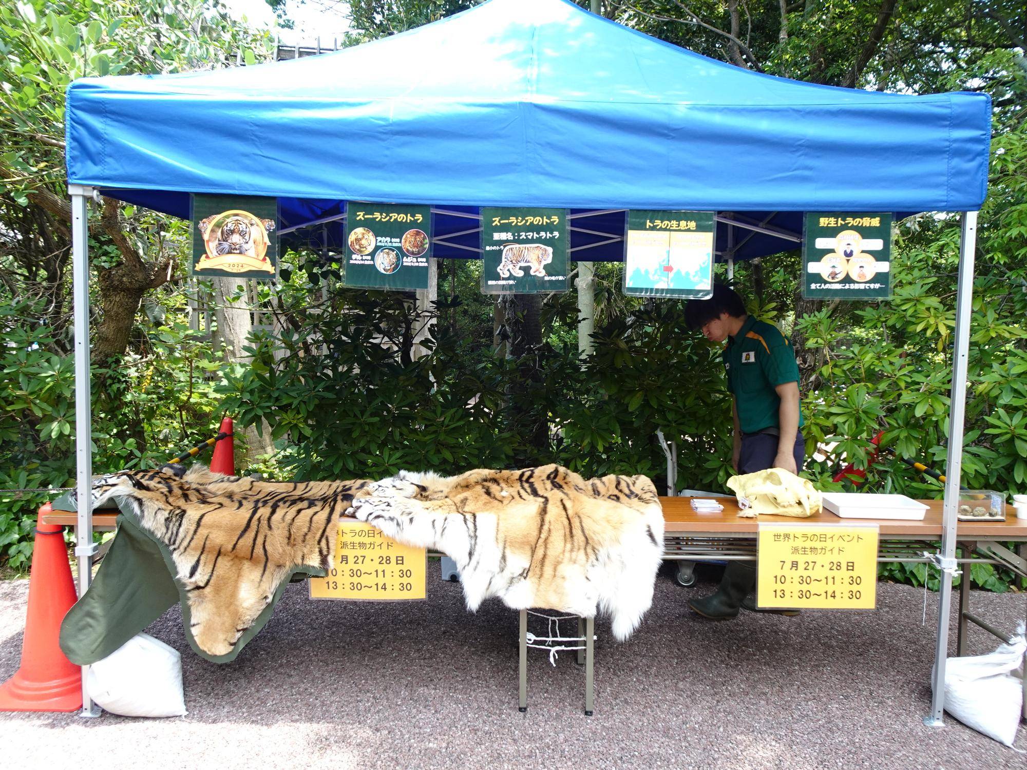 世界トラの日報告③.jpg