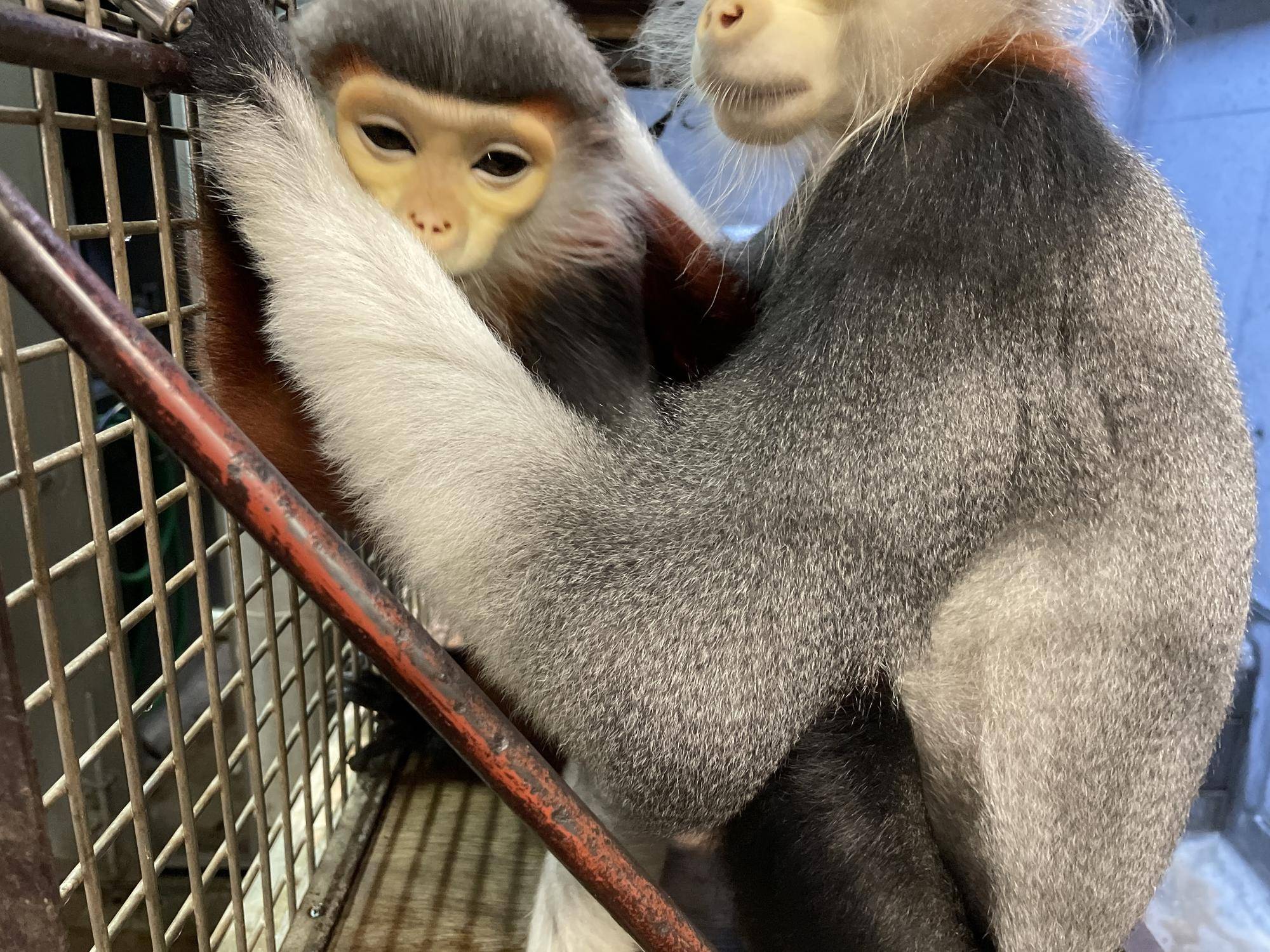 【飼育日誌】20240831：モイホアその後 (8).jpg