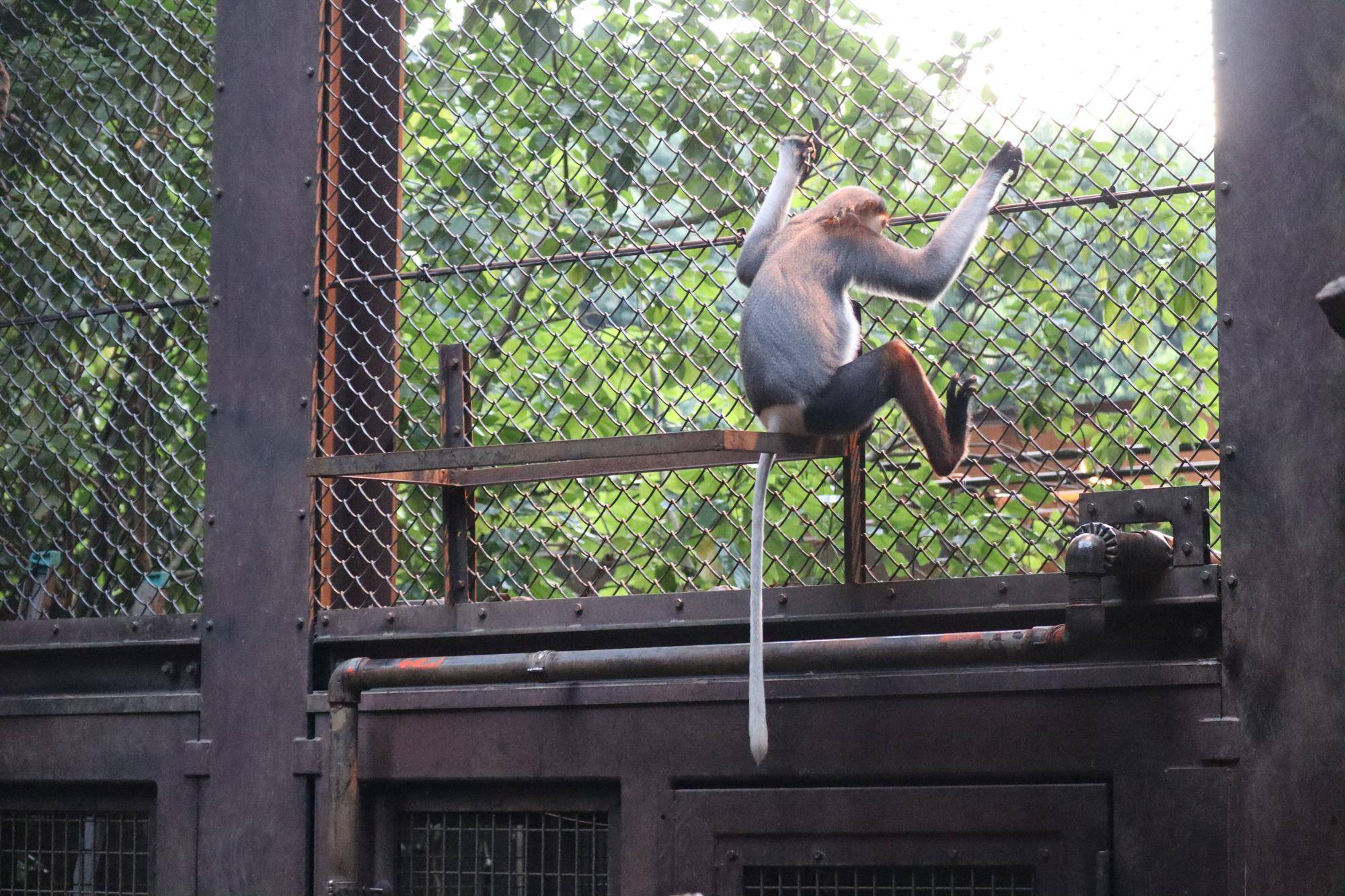 【飼育日誌】20240829：モイホア進展 (2).jpg