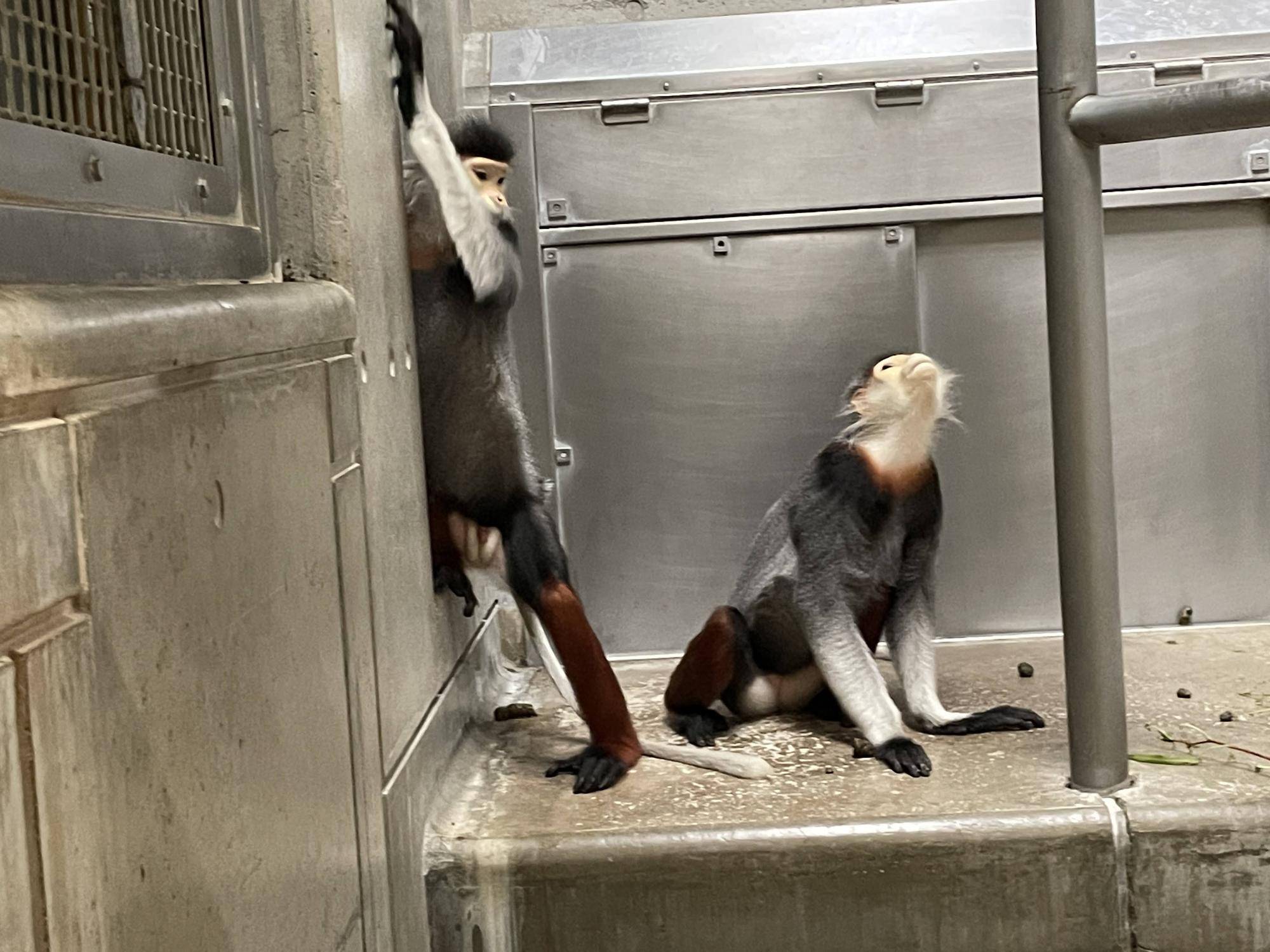 【飼育日誌】20240829：モイホア進展 (8).jpg