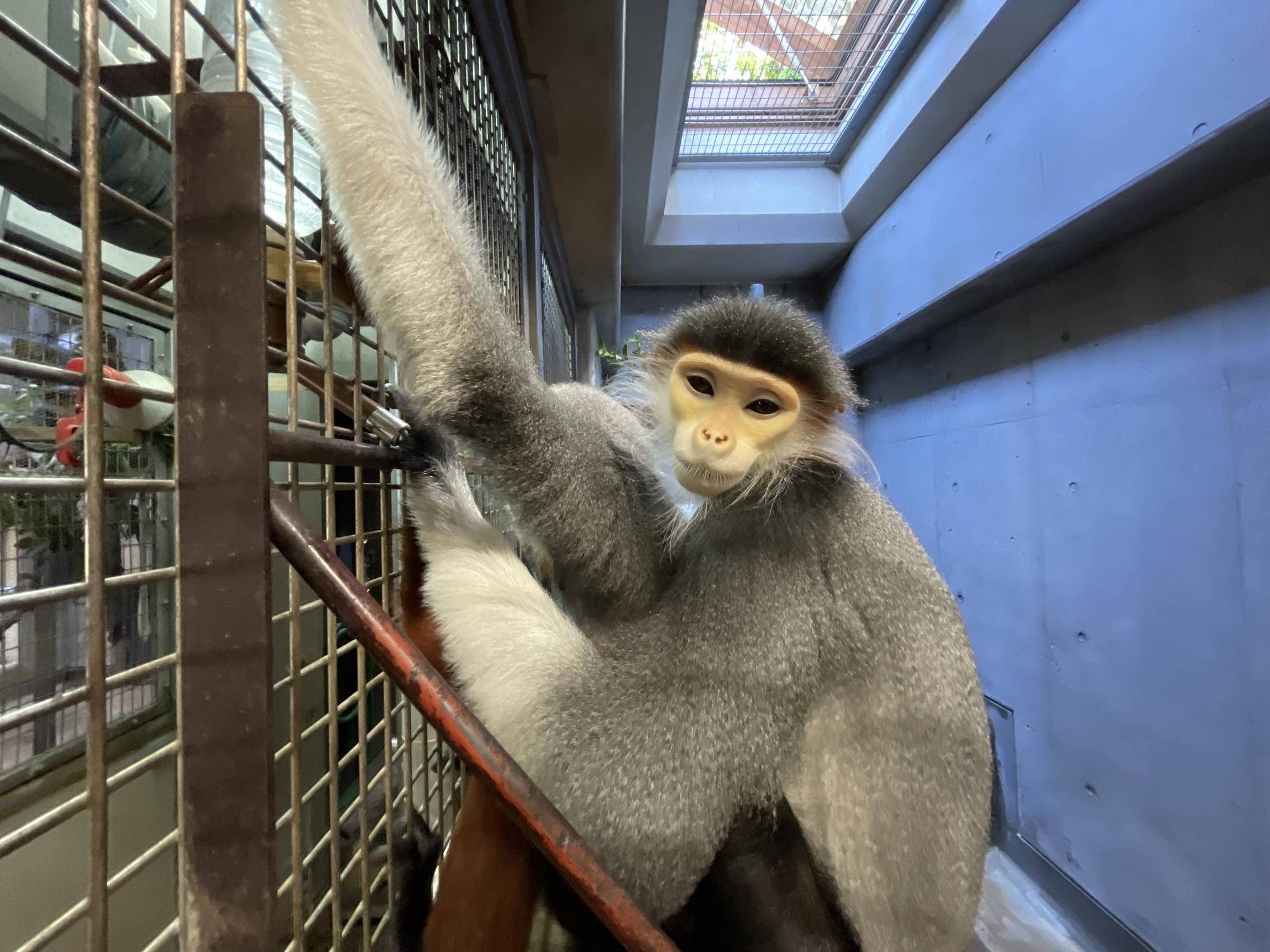 【飼育日誌】20240831：モイホアその後 (10).jpg