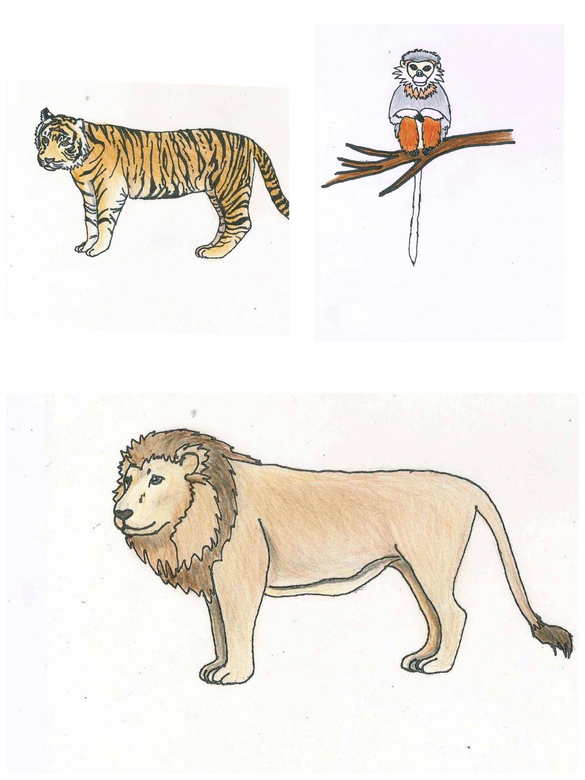 【ブログdeズーラシア】20241121:11月の動物教室は (6).jpg