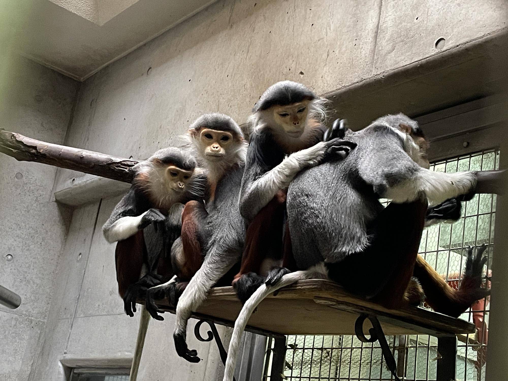 【飼育日誌】20241220：ラーに感謝を込めて (22).jpg