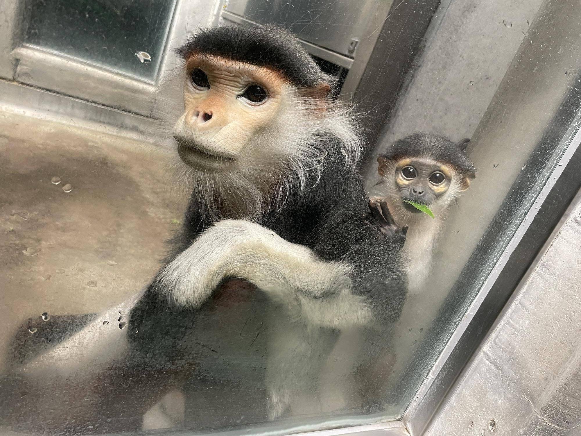 【飼育日誌】20241220：ラーに感謝を込めて (25).jpg