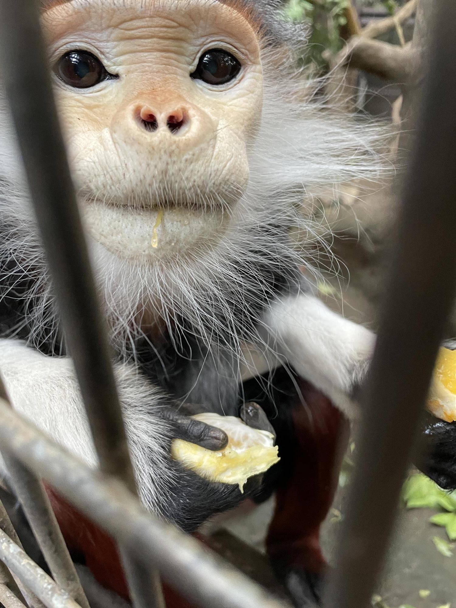 【飼育日誌】20241220：ラーに感謝を込めて (14).jpg