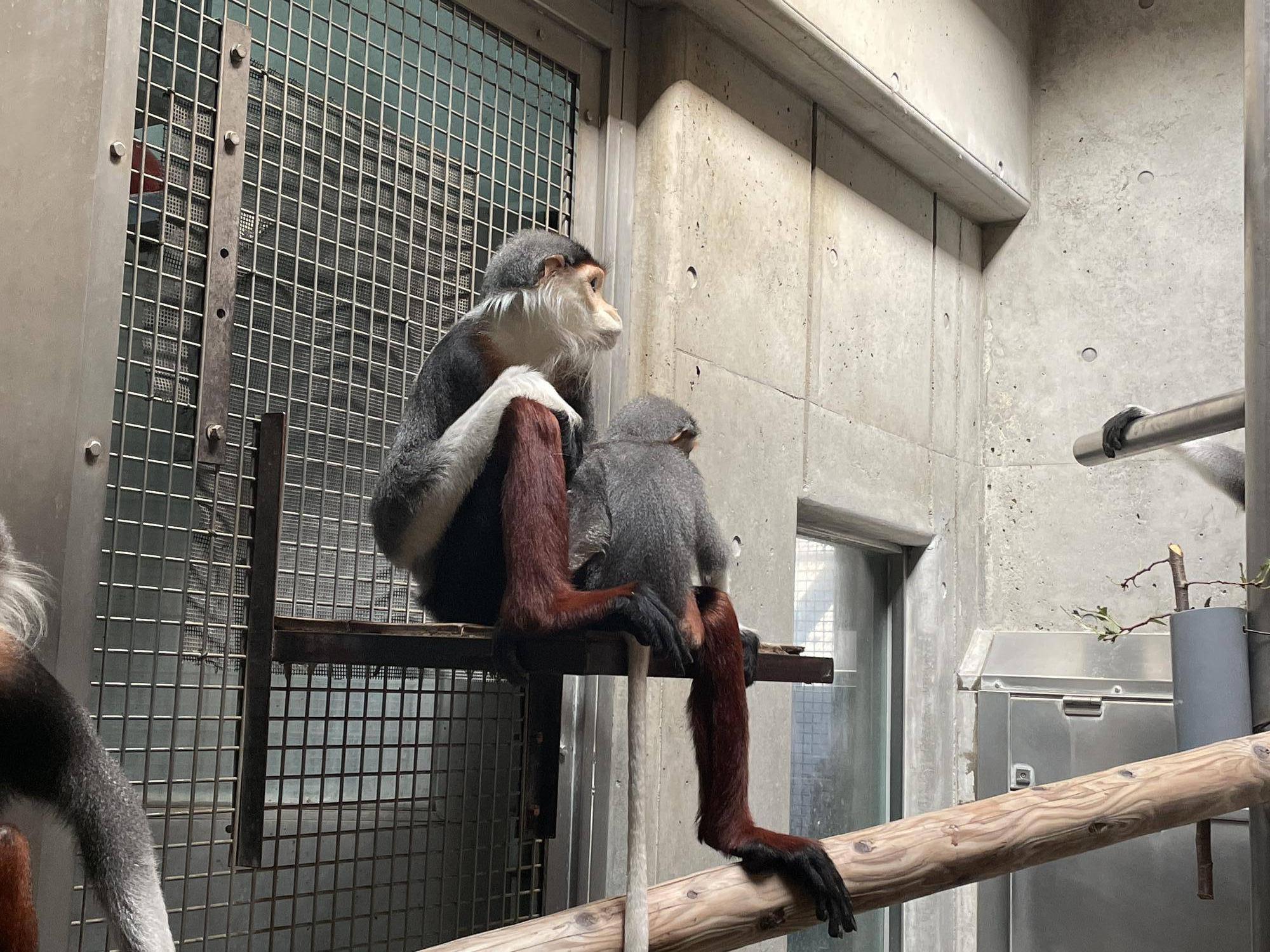 【飼育日誌】20241230:ダオ×FAMILY3大好きな父 (14).jpg