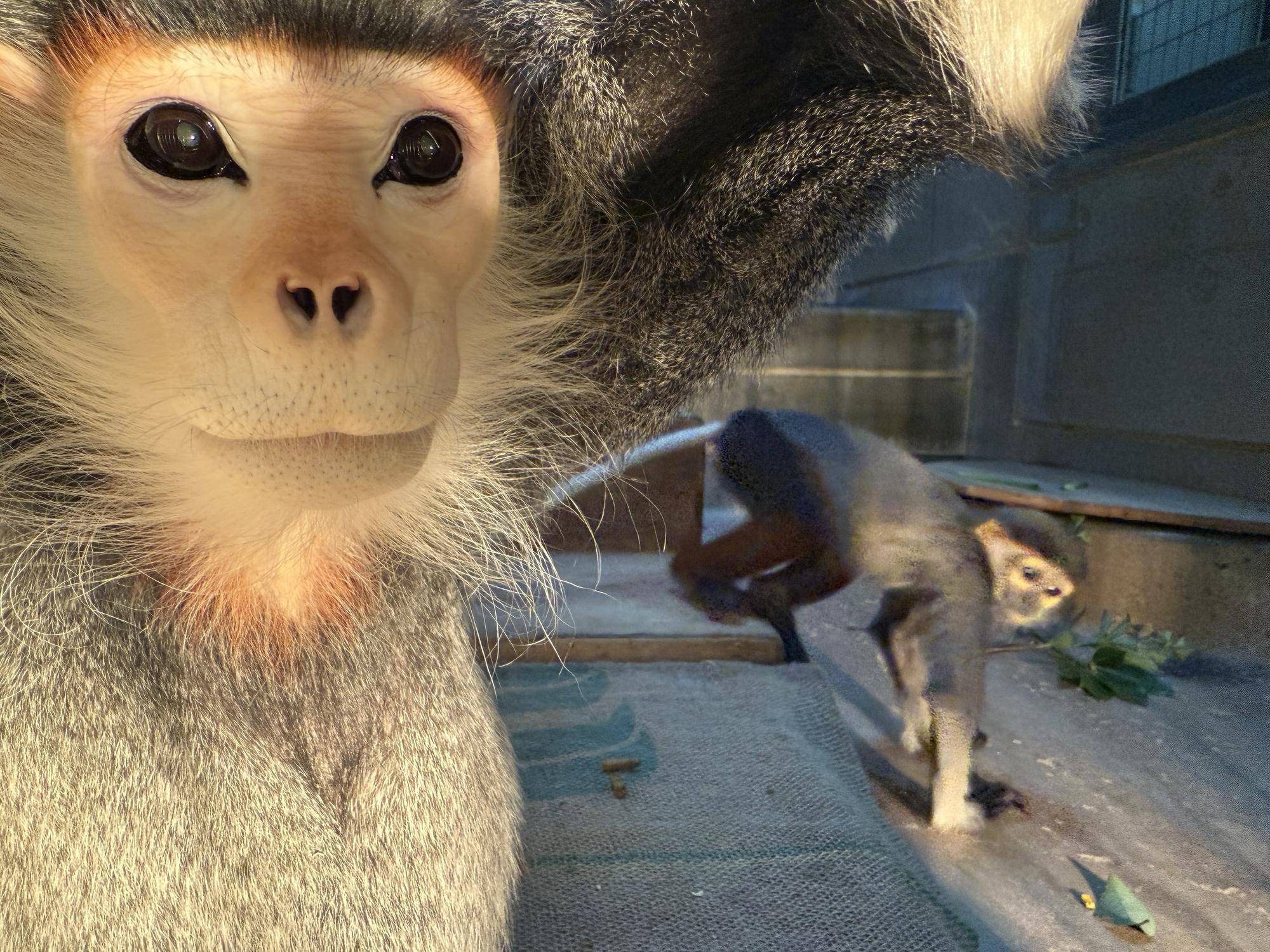 【飼育日誌】20241230:ダオ×FAMILY3大好きな父 (22).jpg