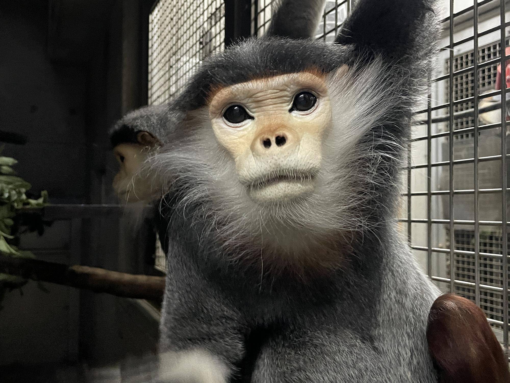 【飼育日誌】20241220：ラーに感謝を込めて (30).jpg