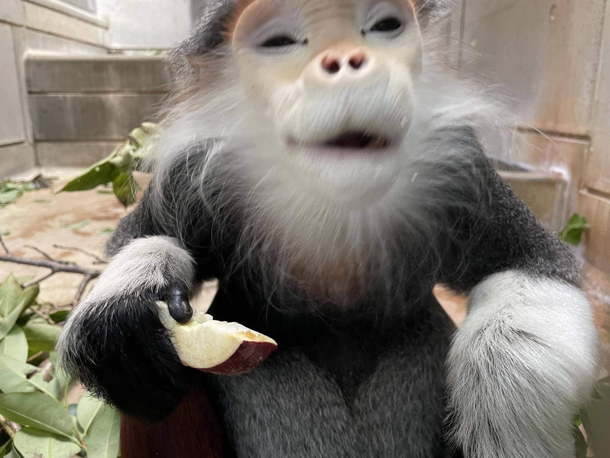 【飼育日誌】20241220：ラーに感謝を込めて (4).jpg