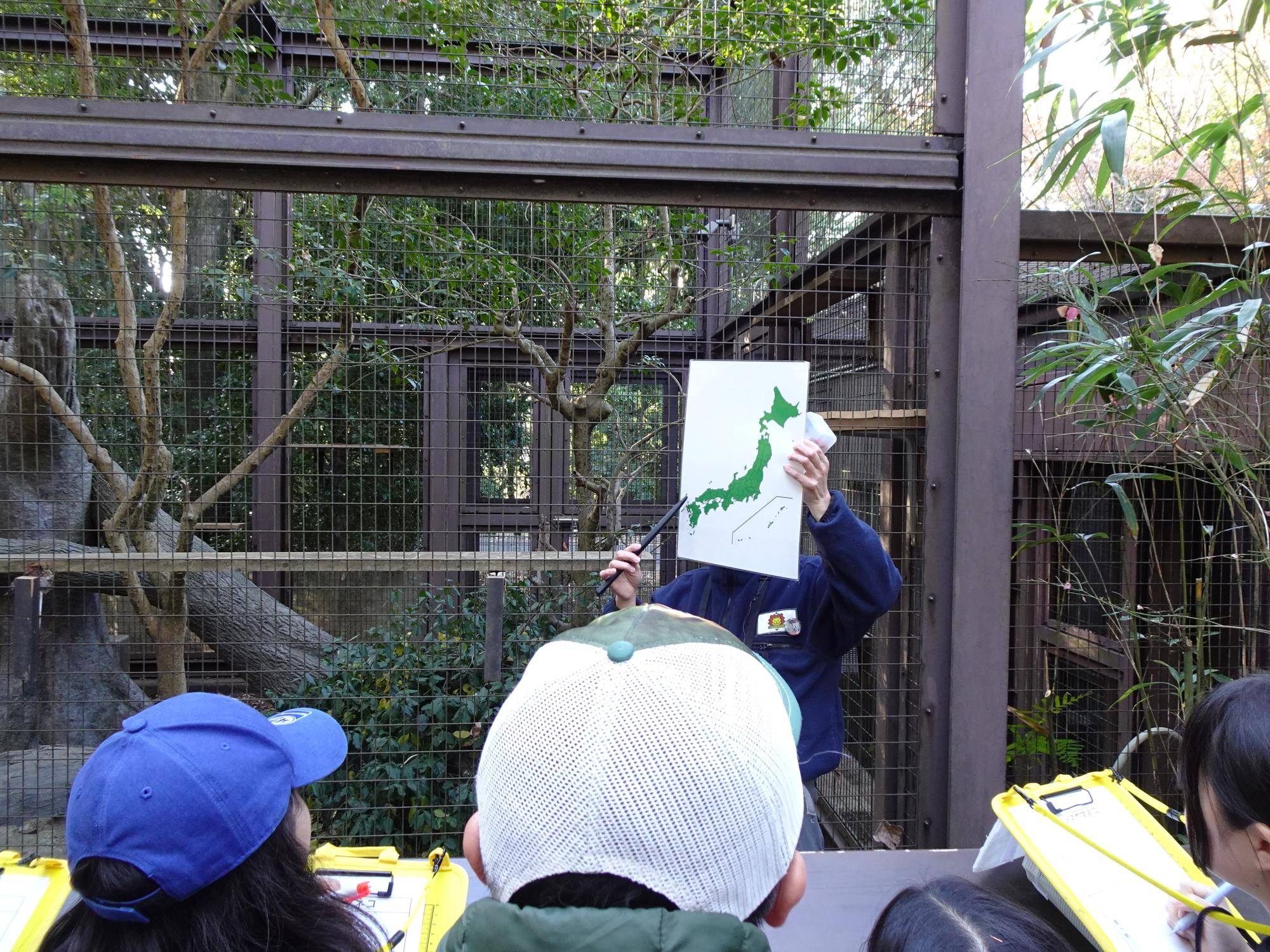 ツシマヤマネコの観察