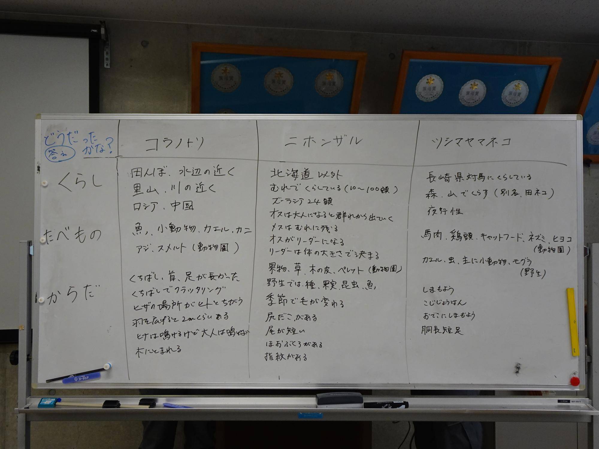 今日の観察内容