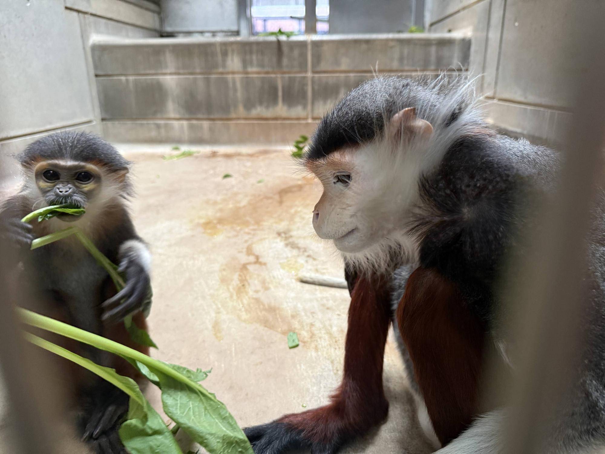 【飼育日誌】20241230:ダオ×FAMILY3大好きな父 (5).jpg