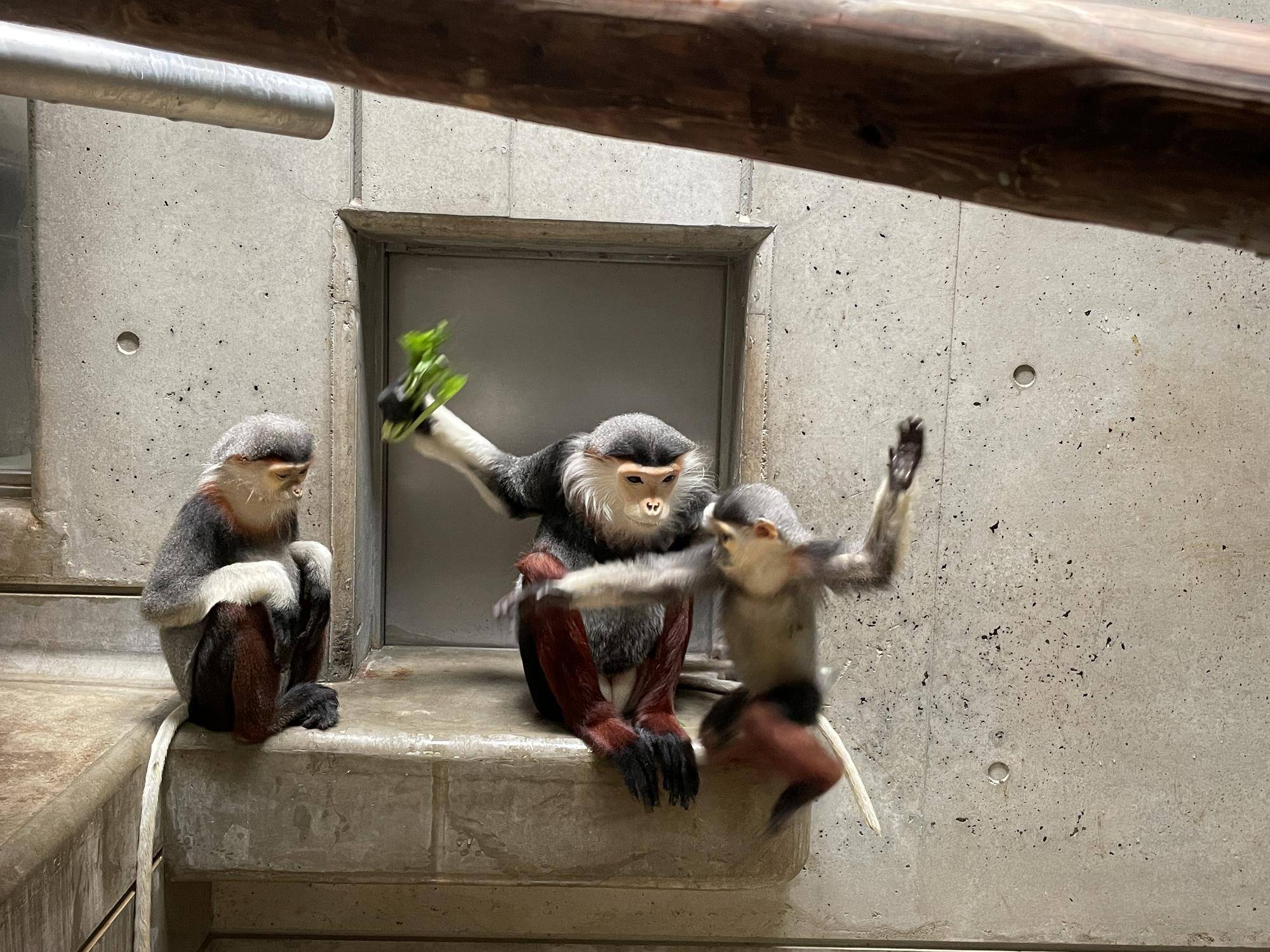 【飼育日誌】20241220：ラーに感謝を込めて (16).jpg