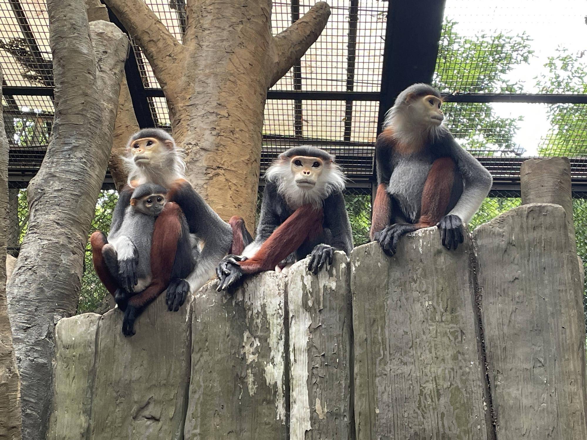 【飼育日誌】20241220：ラーに感謝を込めて (2).jpg