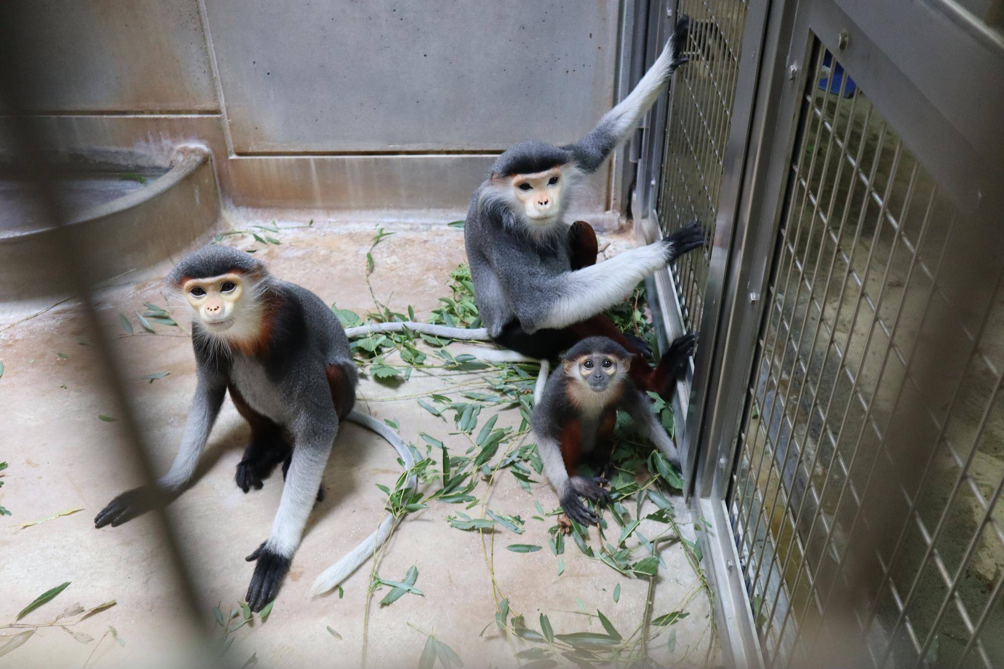 【飼育日誌】20241230:ダオ×FAMILY3大好きな父 (10).jpg