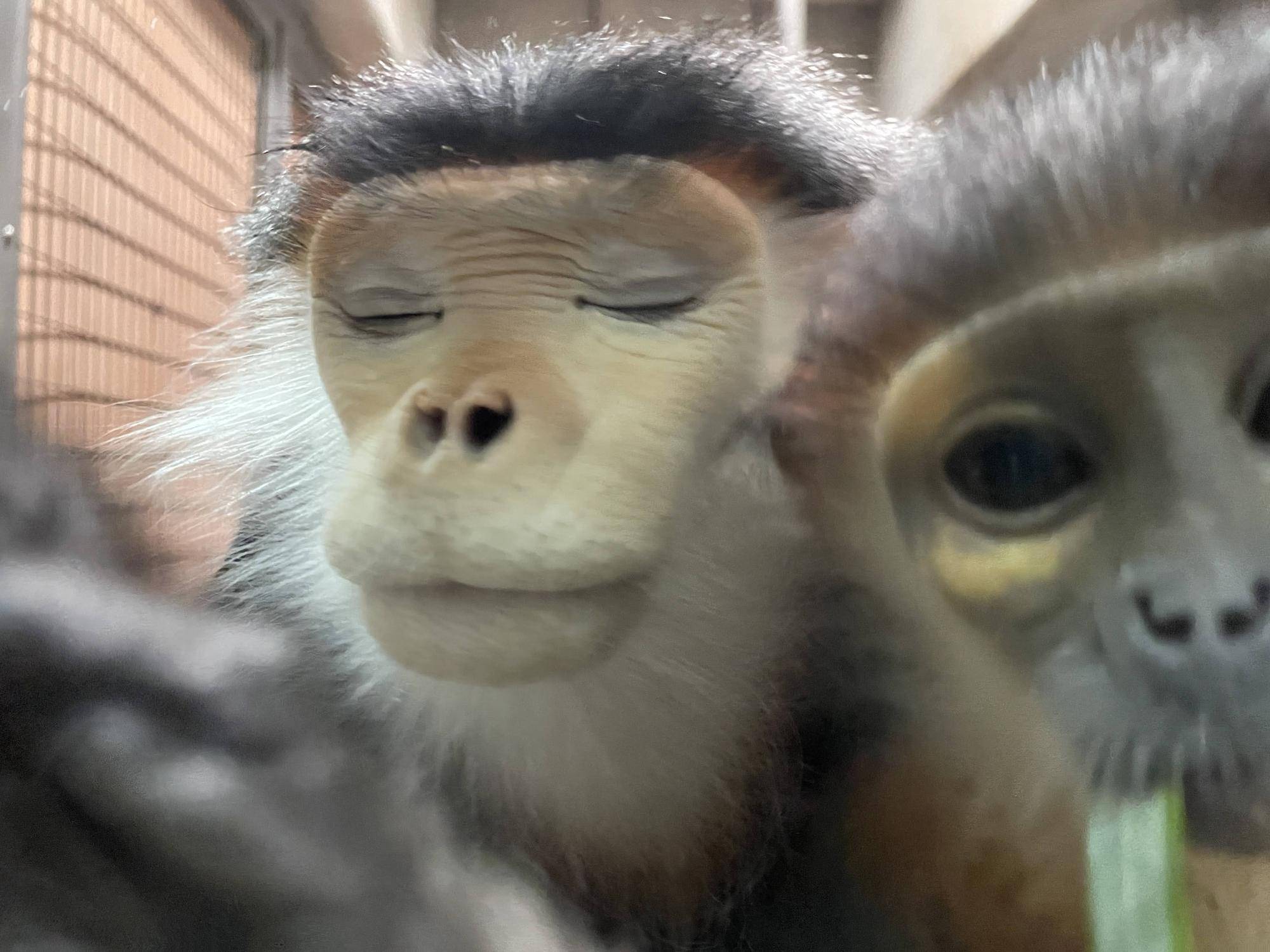 【飼育日誌】20241230:ダオ×FAMILY3大好きな父 (24).jpg