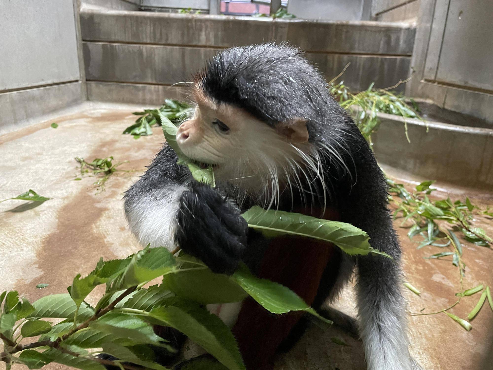 【飼育日誌】20241220：ラーに感謝を込めて (5).jpg