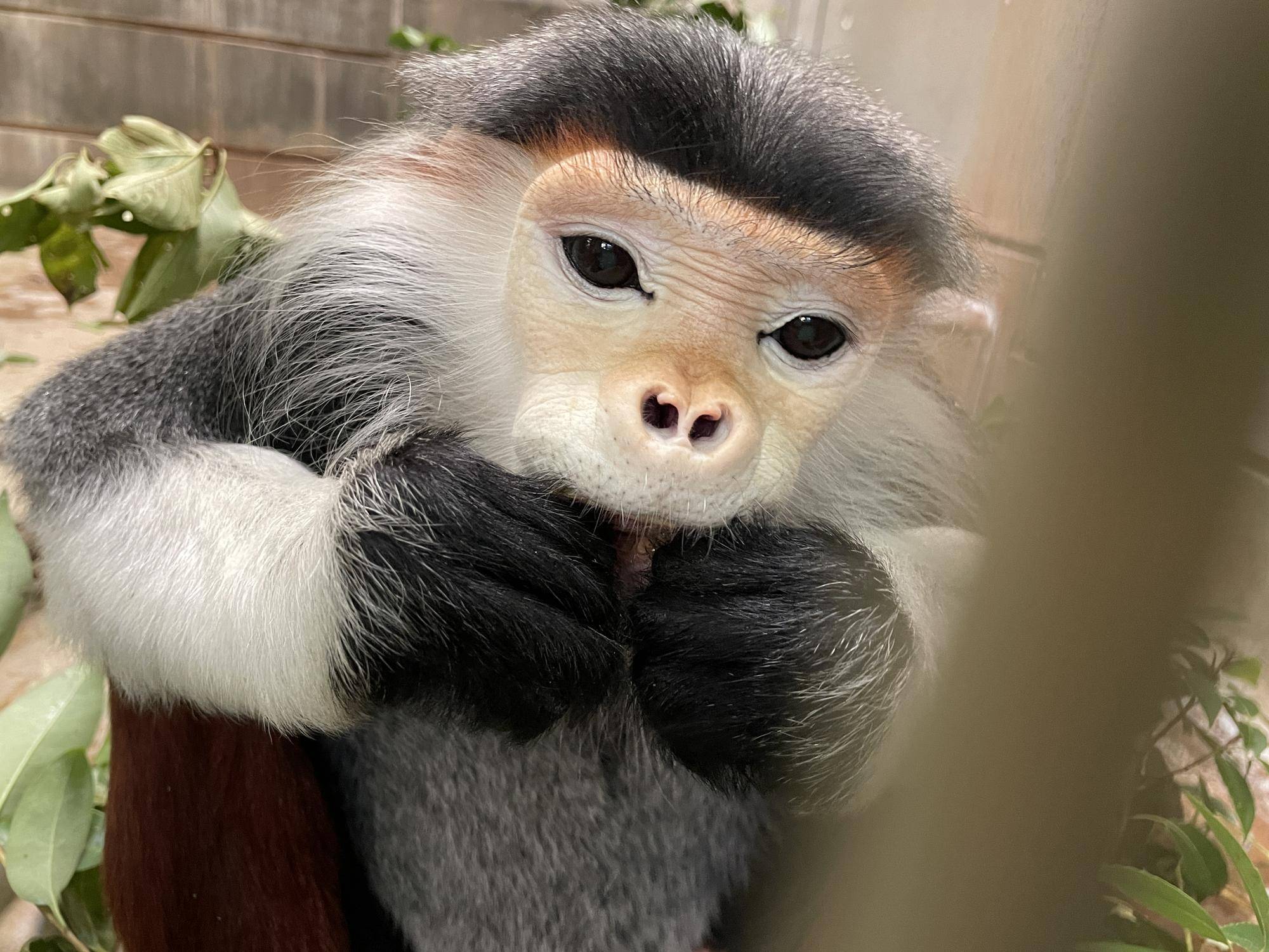 【飼育日誌】20241220：ラーに感謝を込めて (3).jpg