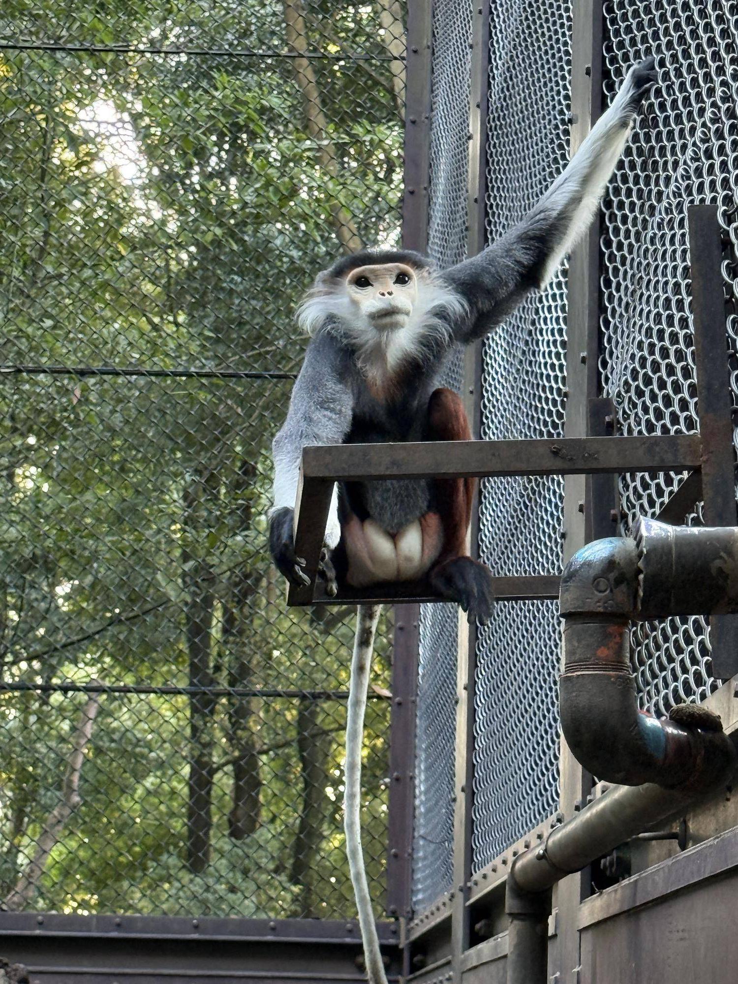 【飼育日誌】20241220：ラーに感謝を込めて (6).jpg