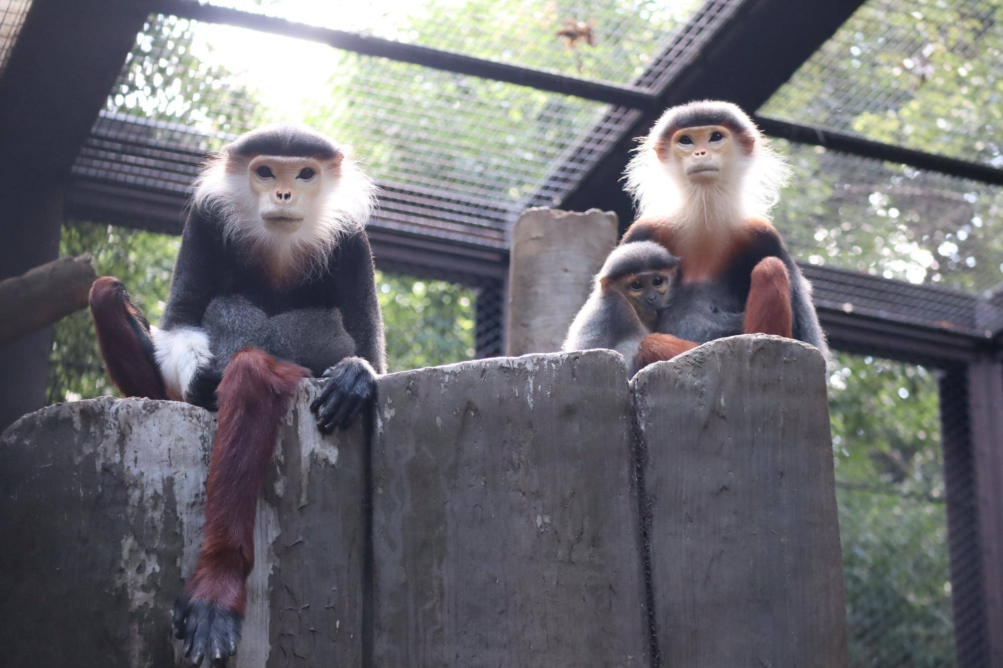 【飼育日誌】20241220：ラーに感謝を込めて (19).jpg