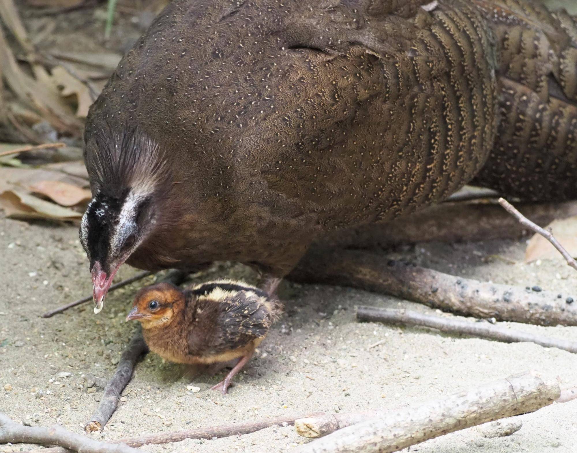 №60　4.29 (2) - コピー.jpg