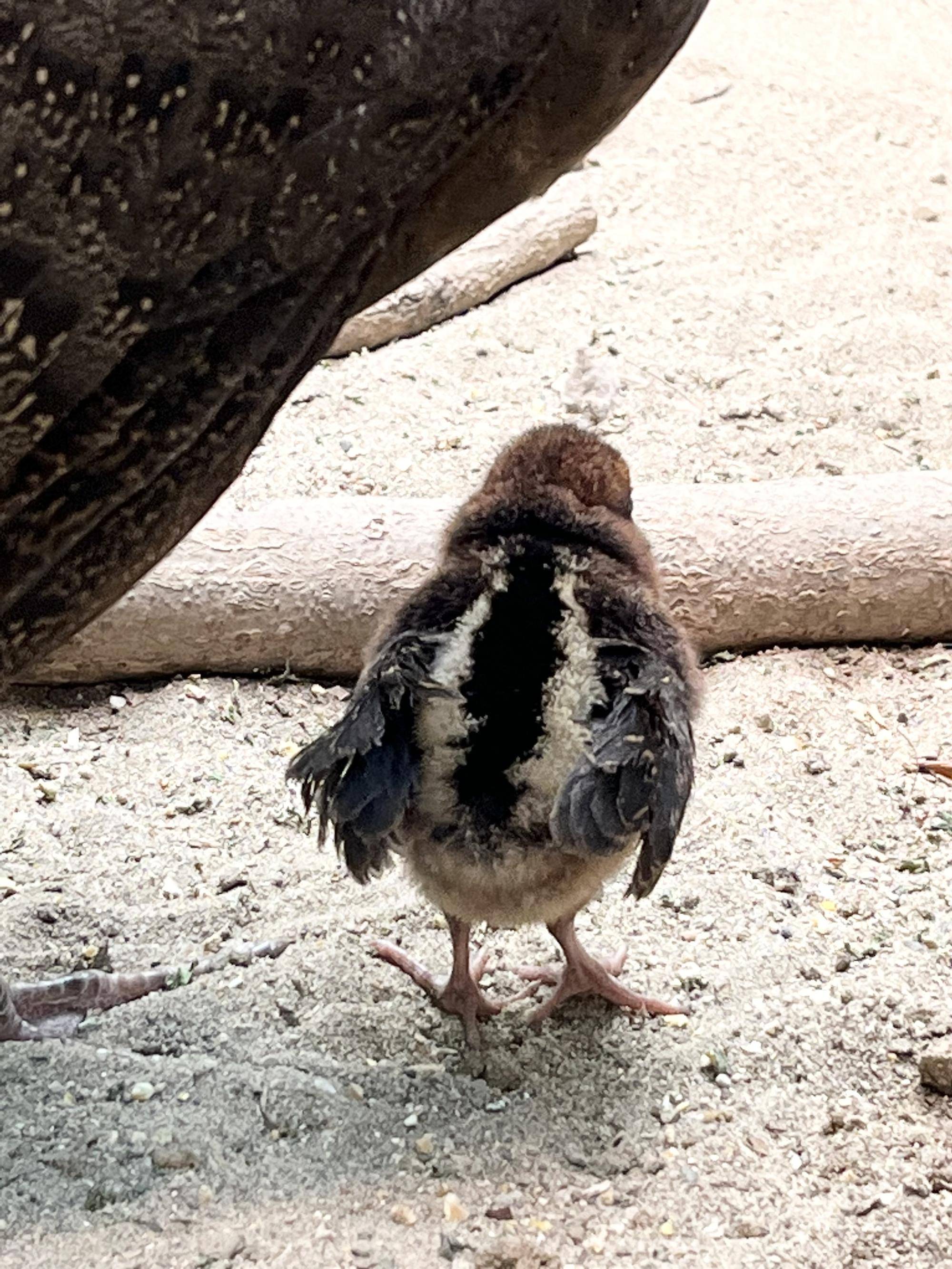 №60　5.3 (19).jpg