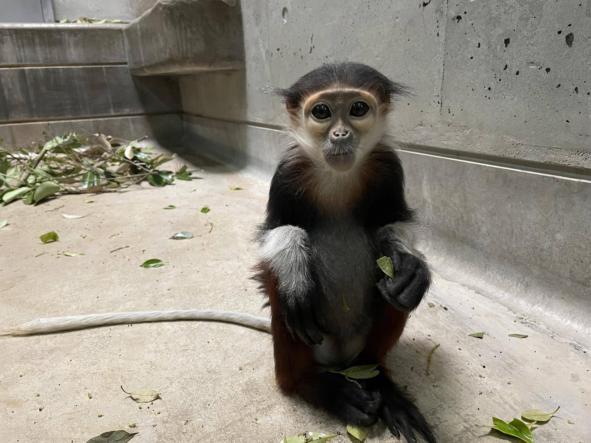 【飼育日誌】20250205：ダオ×FAMILY4誕生日 (8).jpg