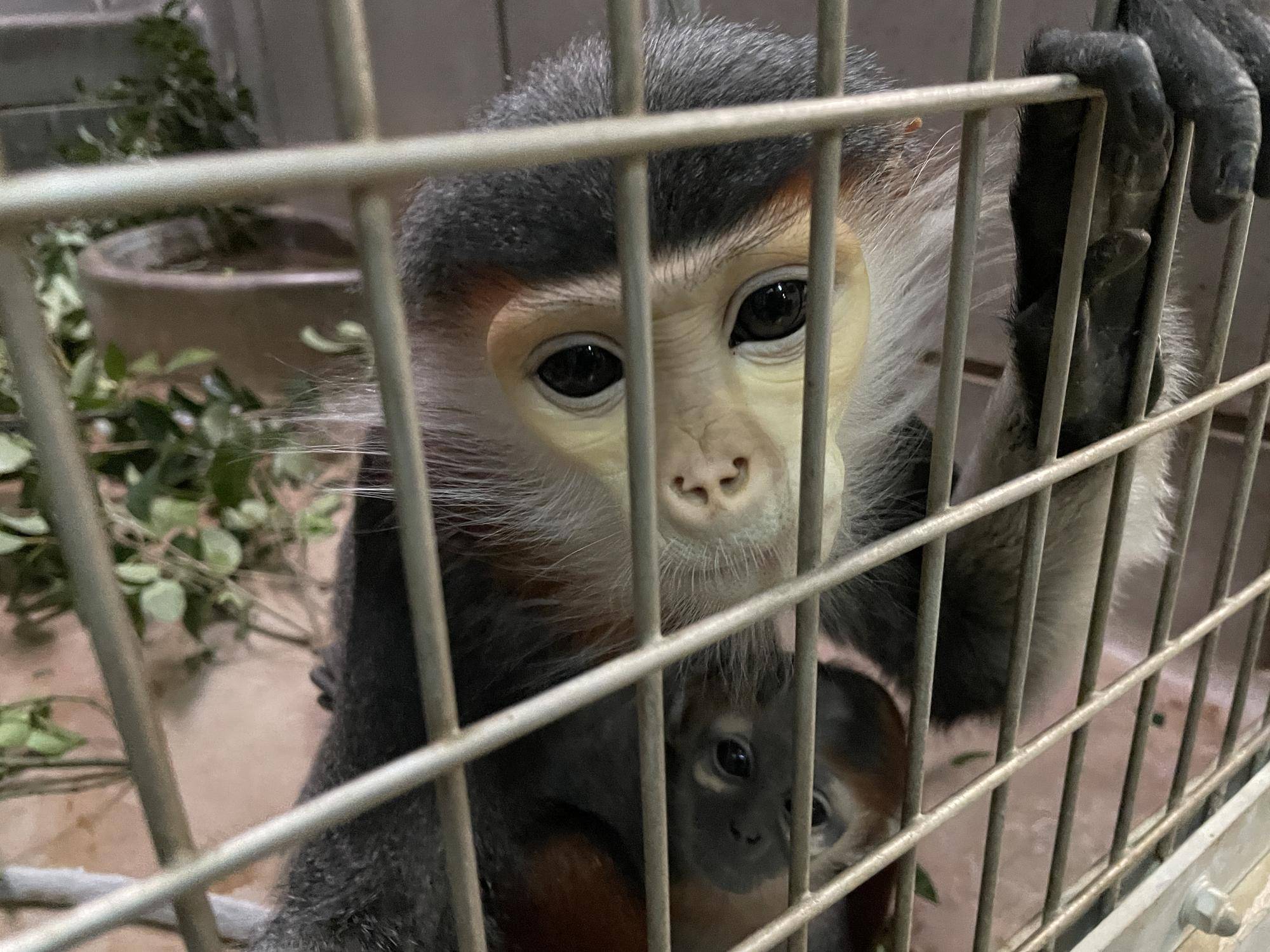 【飼育日誌】20250216:ダオ×FAMILY5寒い冬はこれに限る (4).jpg