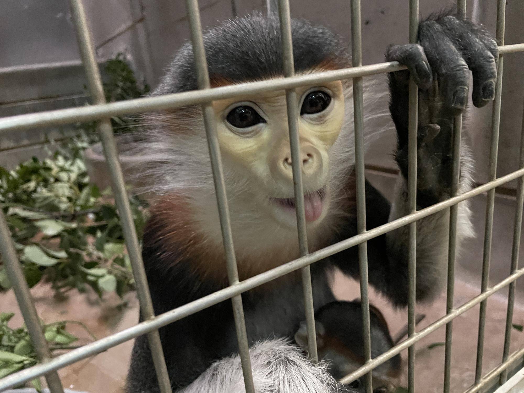 【飼育日誌】20250216:ダオ×FAMILY5寒い冬はこれに限る (8).jpg