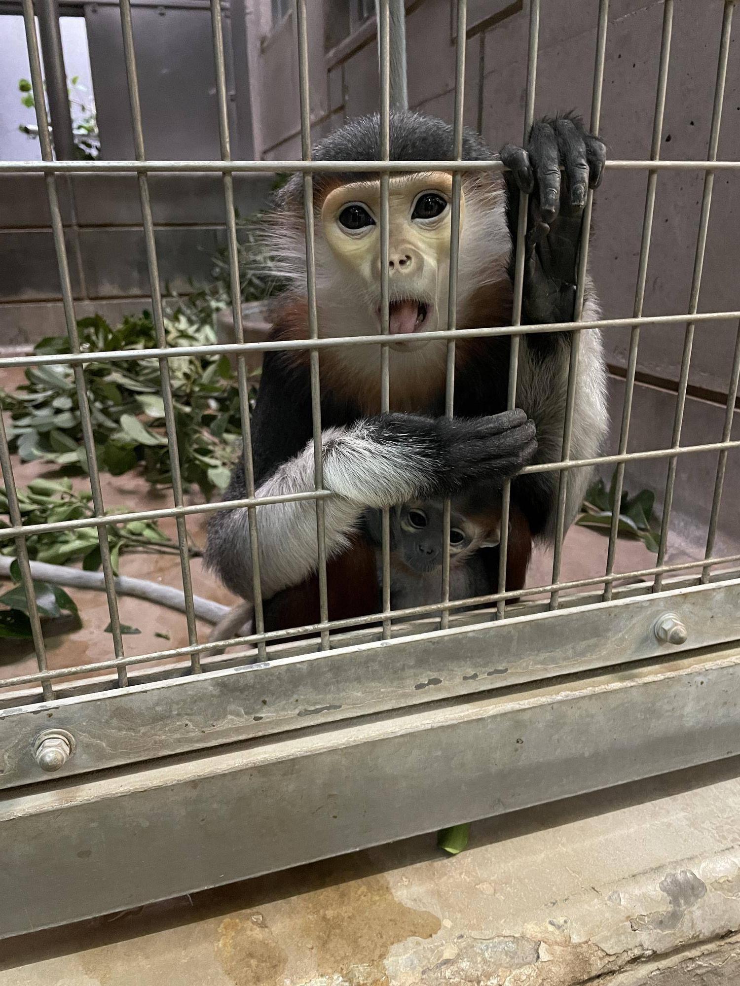 【飼育日誌】20250216:ダオ×FAMILY5寒い冬はこれに限る (5).jpg