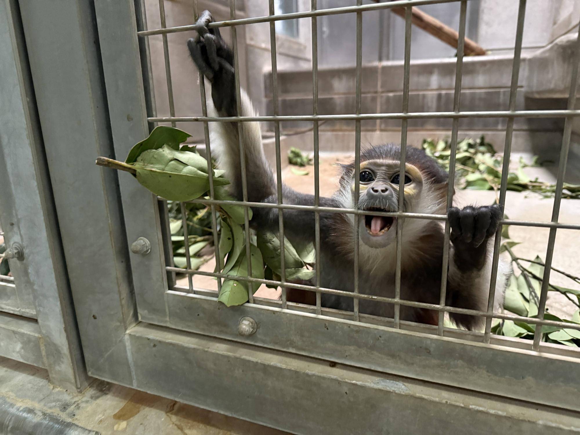 【飼育日誌】20250216:ダオ×FAMILY5寒い冬はこれに限る (6).jpg