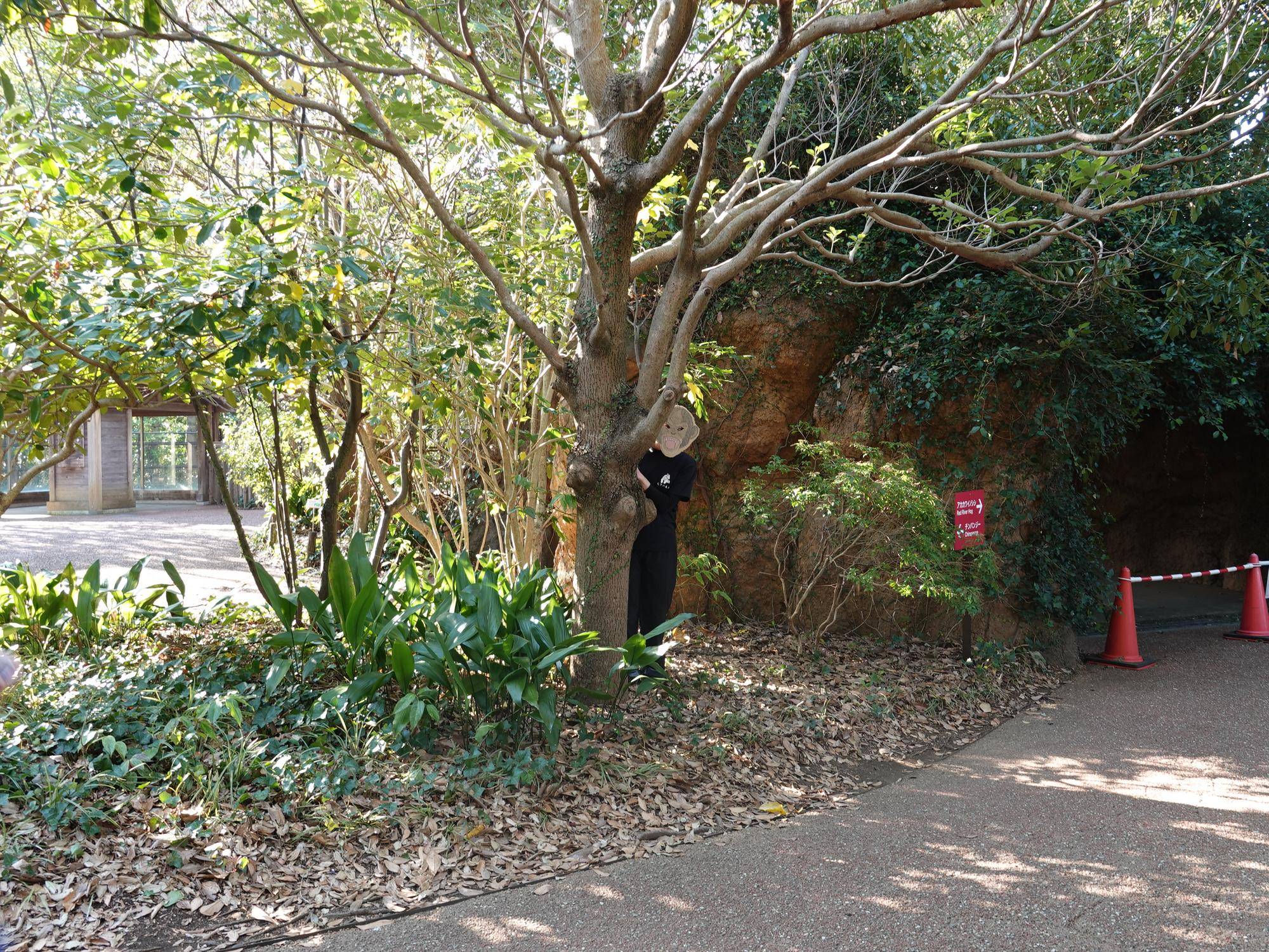 DSC08886.jpg