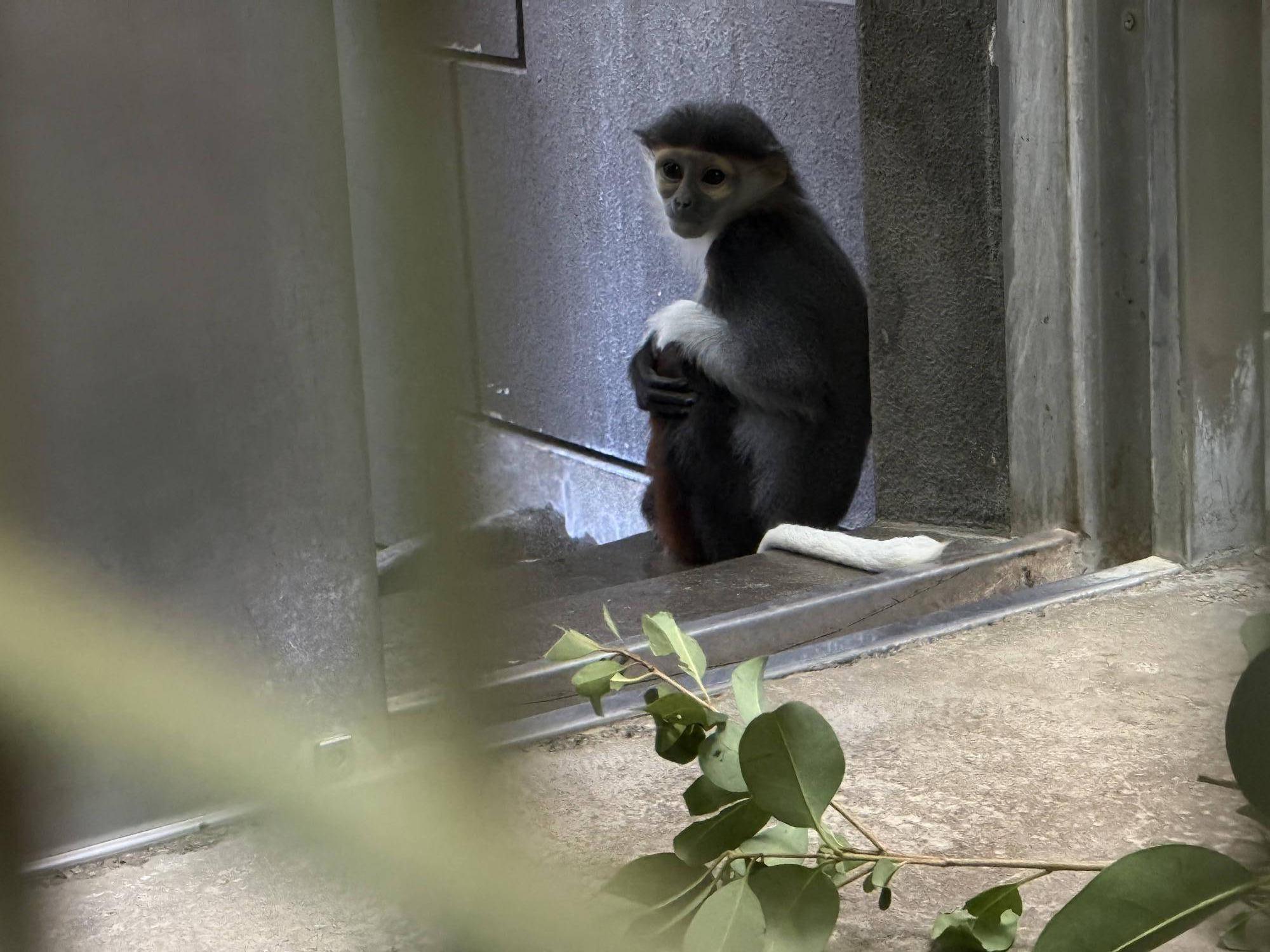 【飼育日誌】20250216:ダオ×FAMILY5寒い冬はこれに限る (2).jpg