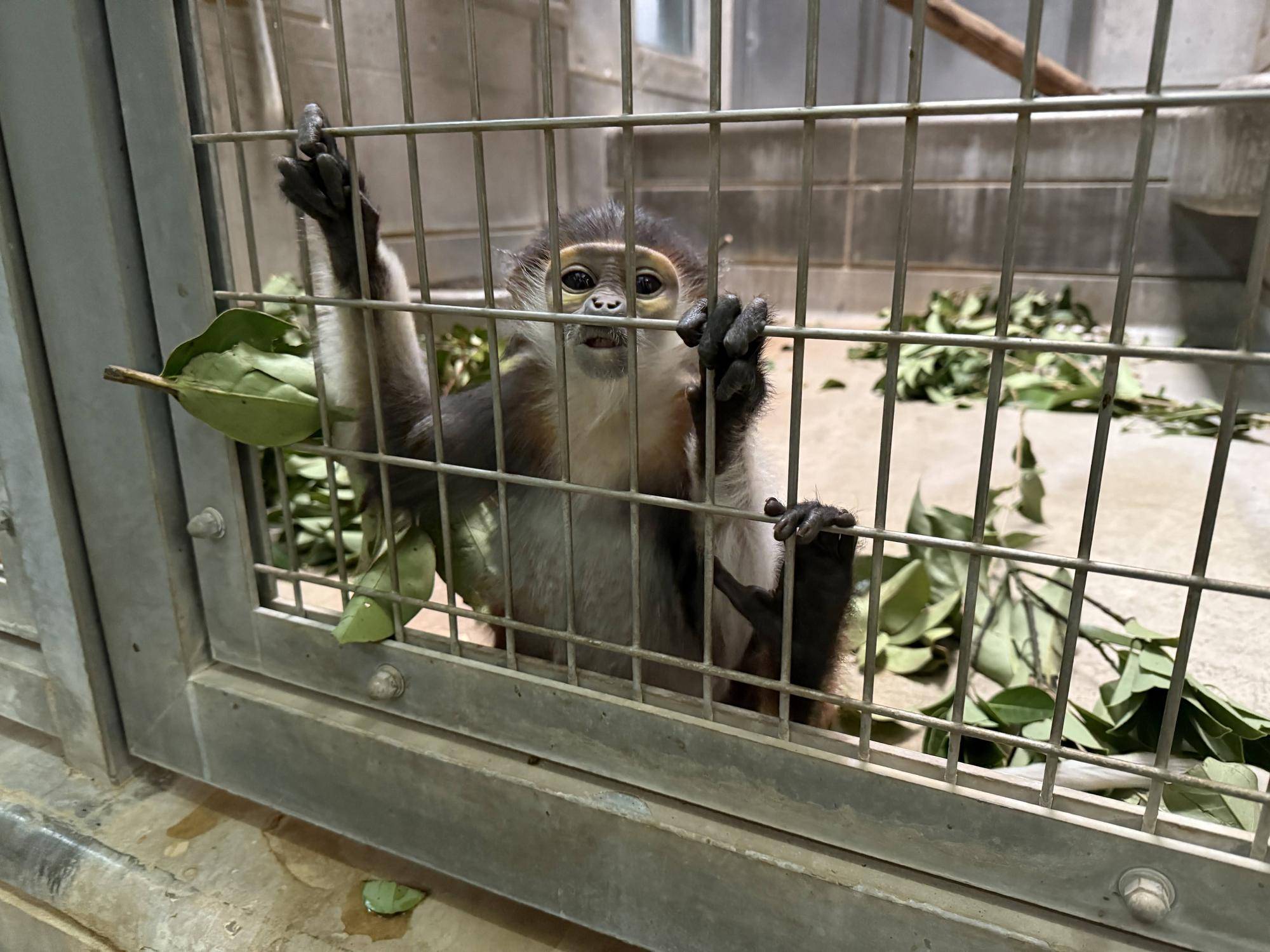 【飼育日誌】20250216:ダオ×FAMILY5寒い冬はこれに限る (7).jpg