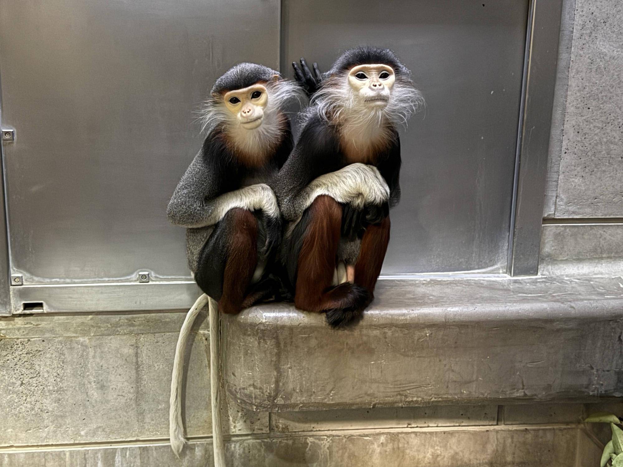 【飼育日誌】20250501:その後の2頭 (5).jpg