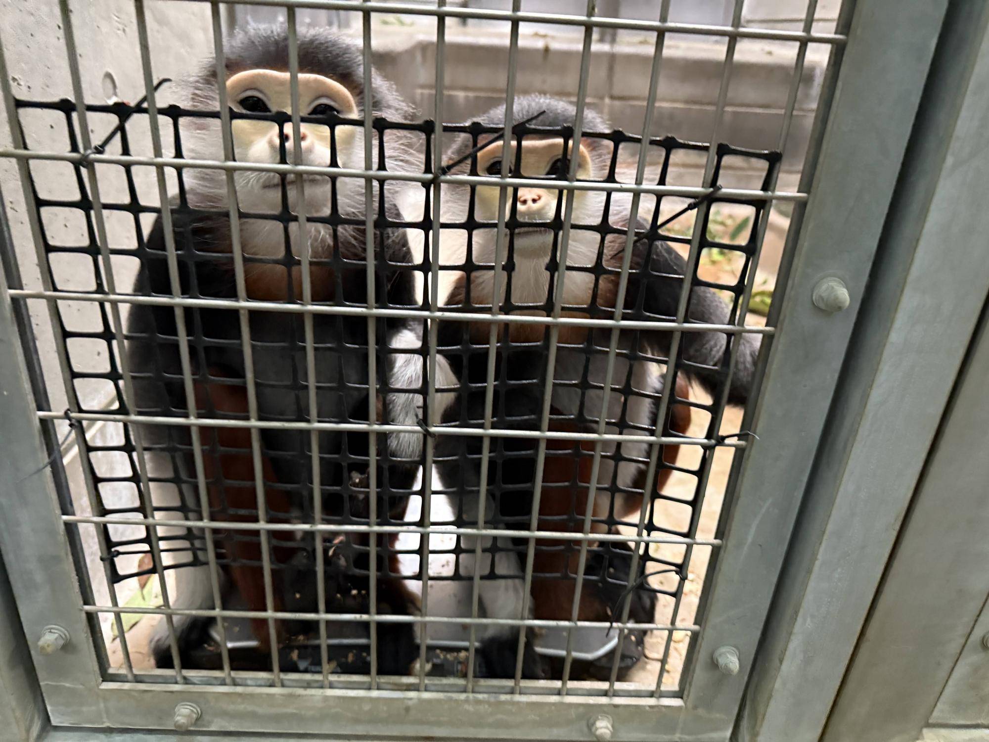 【飼育日誌】20250501:その後の2頭 (9).jpg