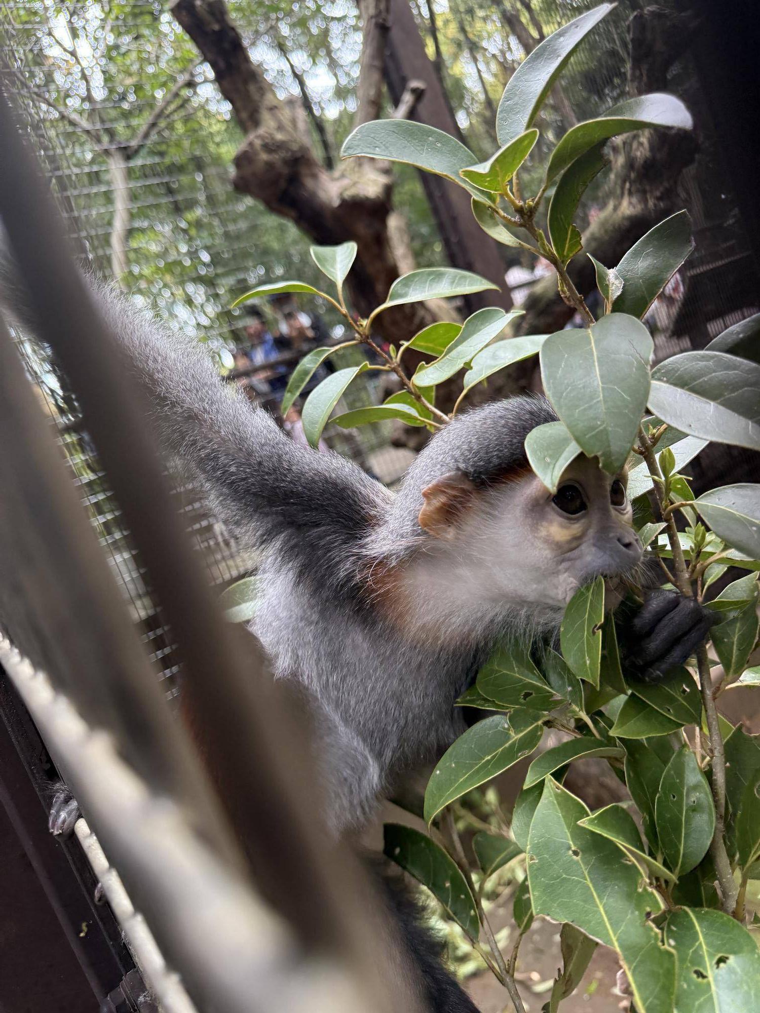 【飼育日誌】20250501:その後の2頭 (2).jpg