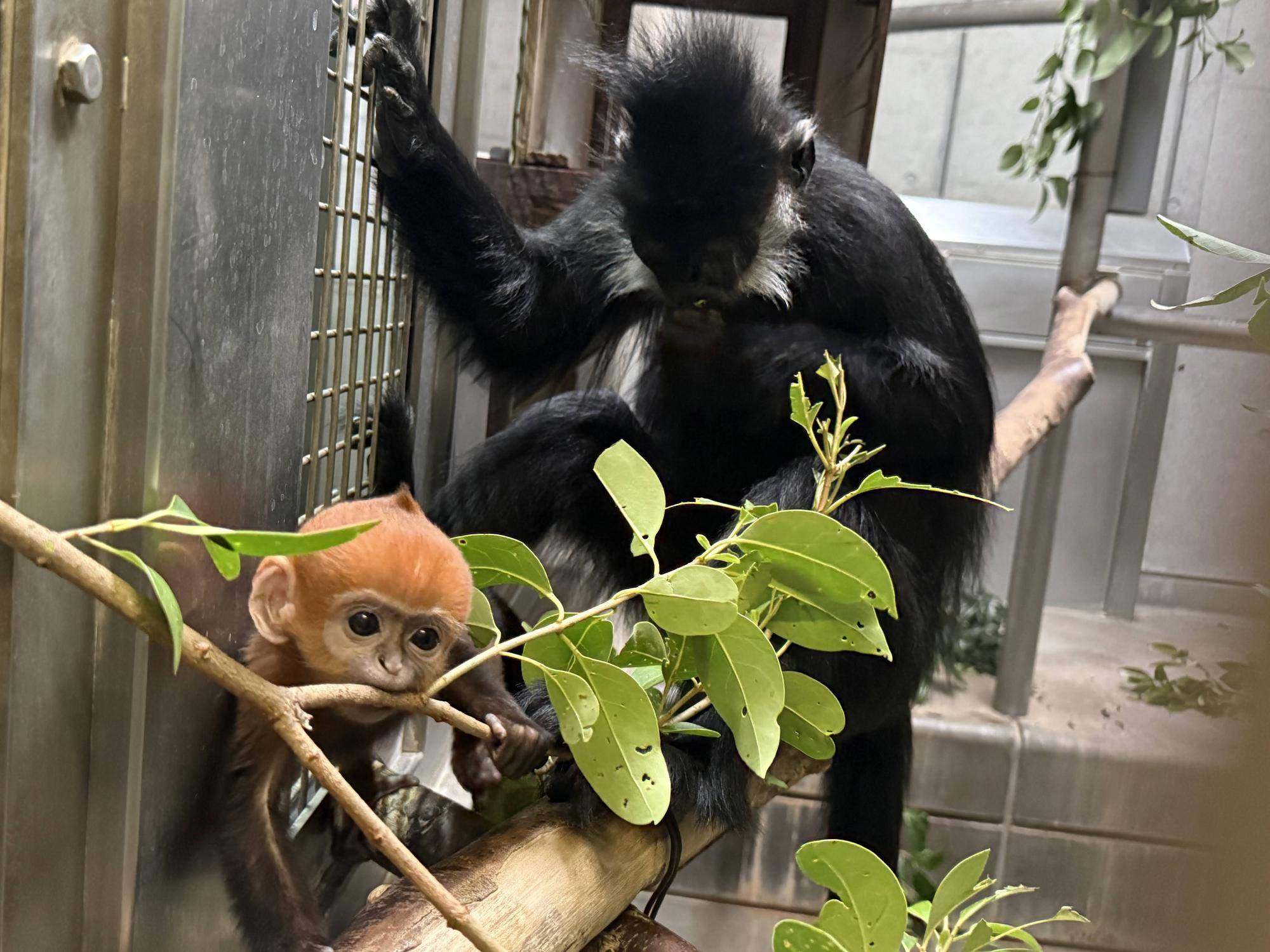 【飼育日誌】20250604：君の名は・・・ (3).jpg