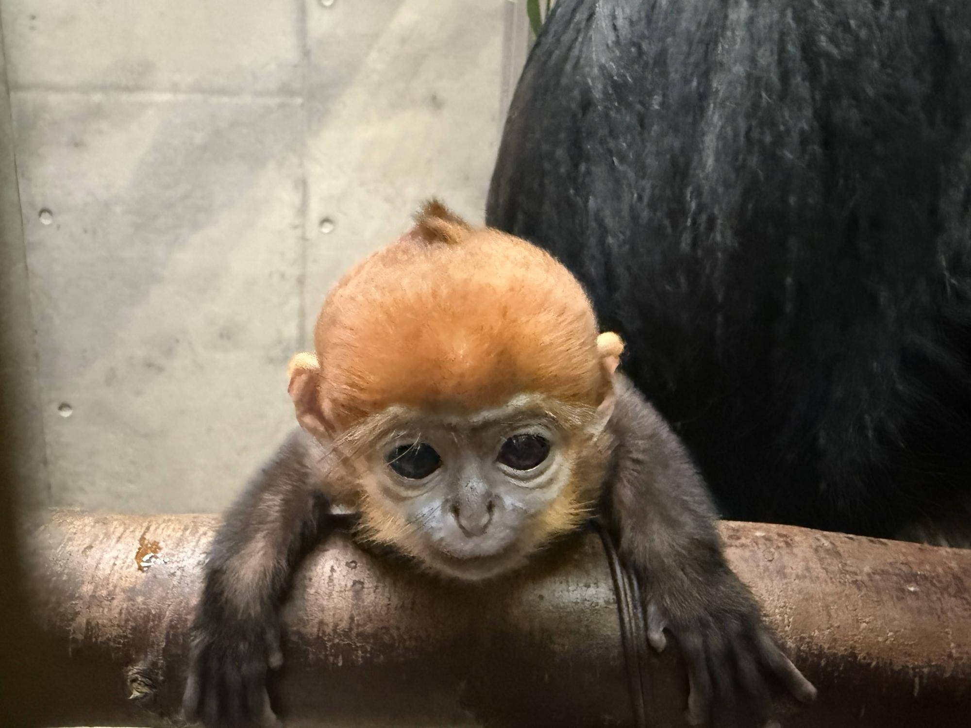 【飼育日誌】20250604：君の名は・・・ (2).jpg